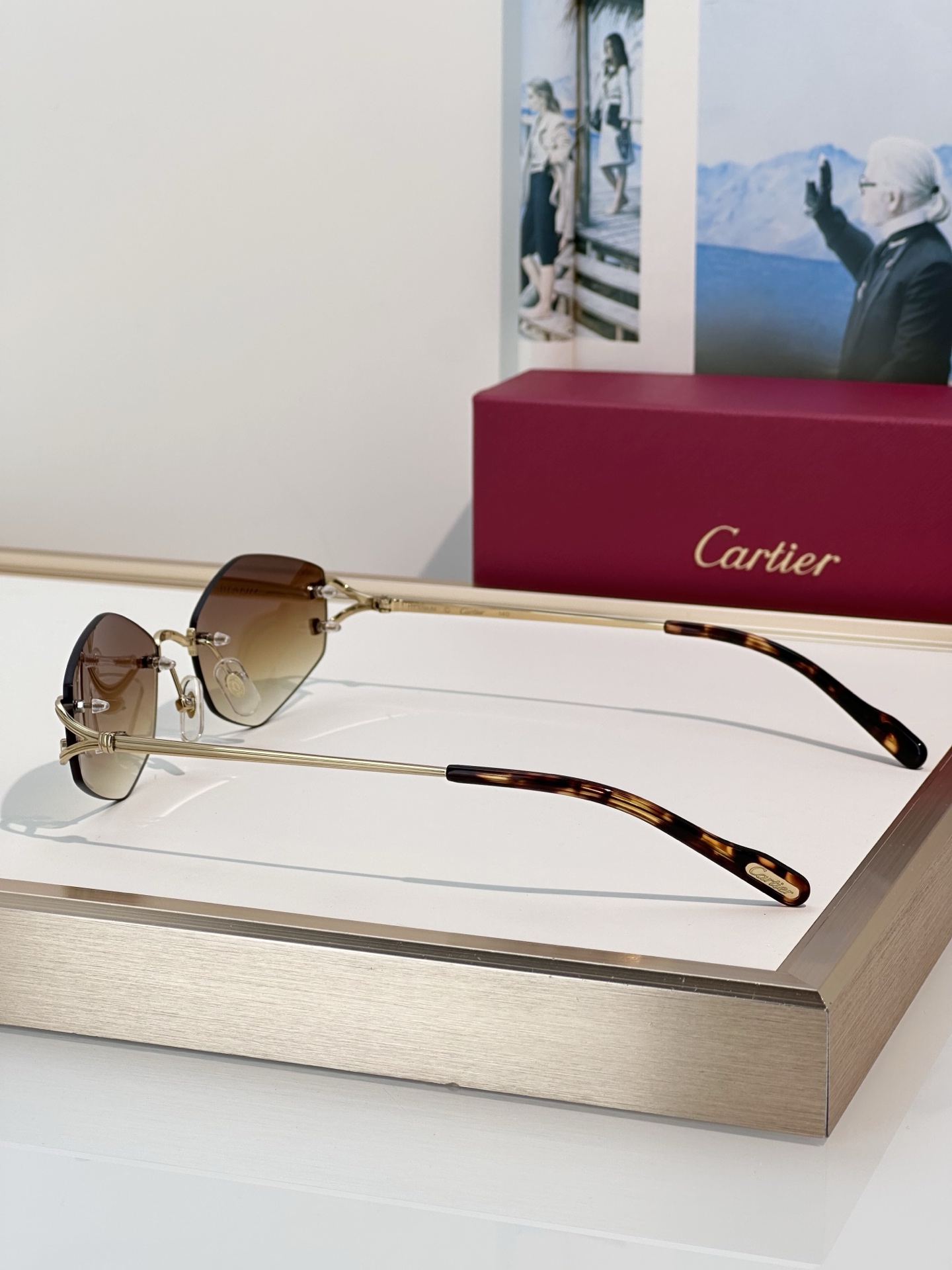Designer Sunglasses CT0620S