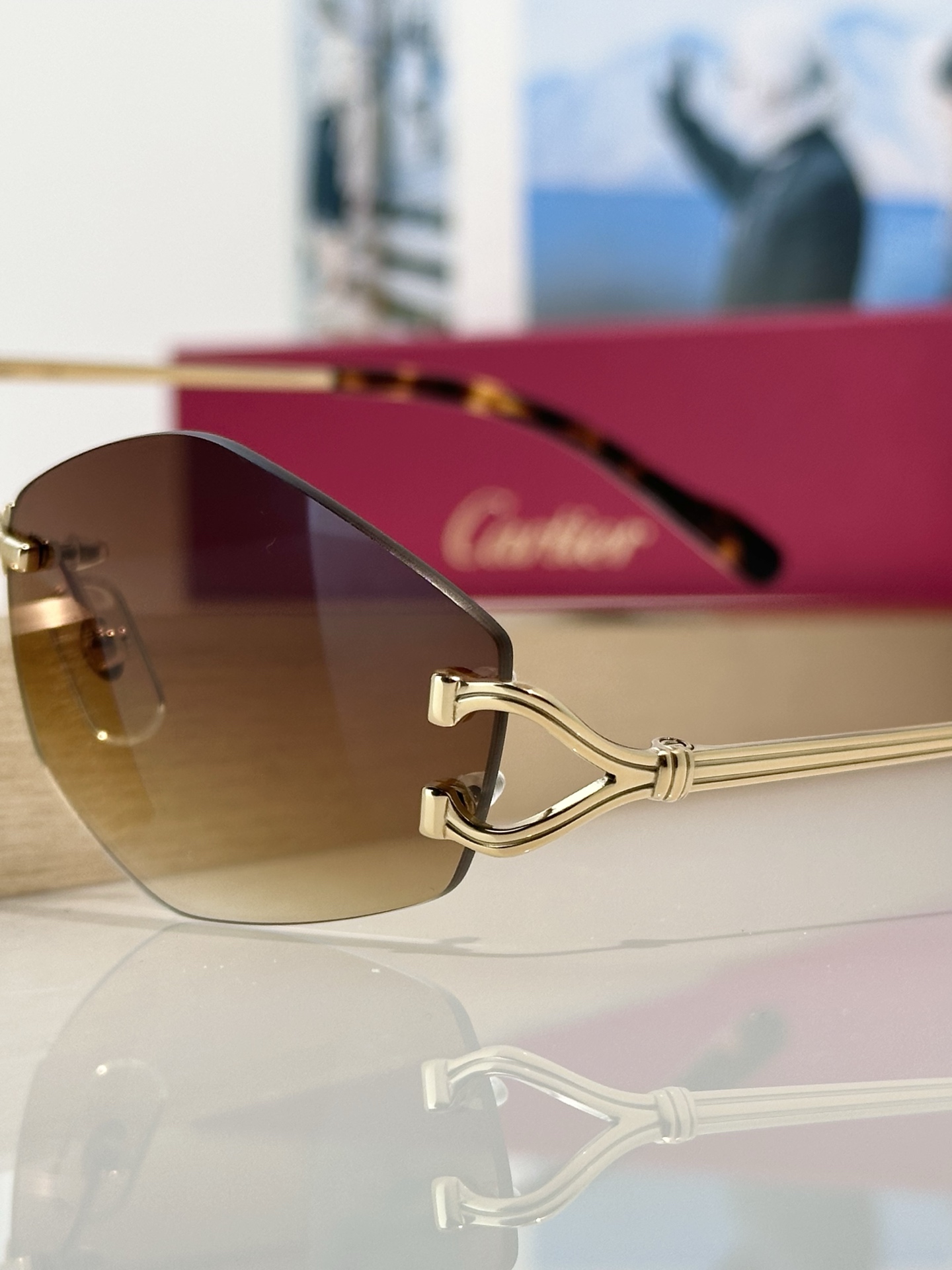 Designer Sunglasses CT0620S