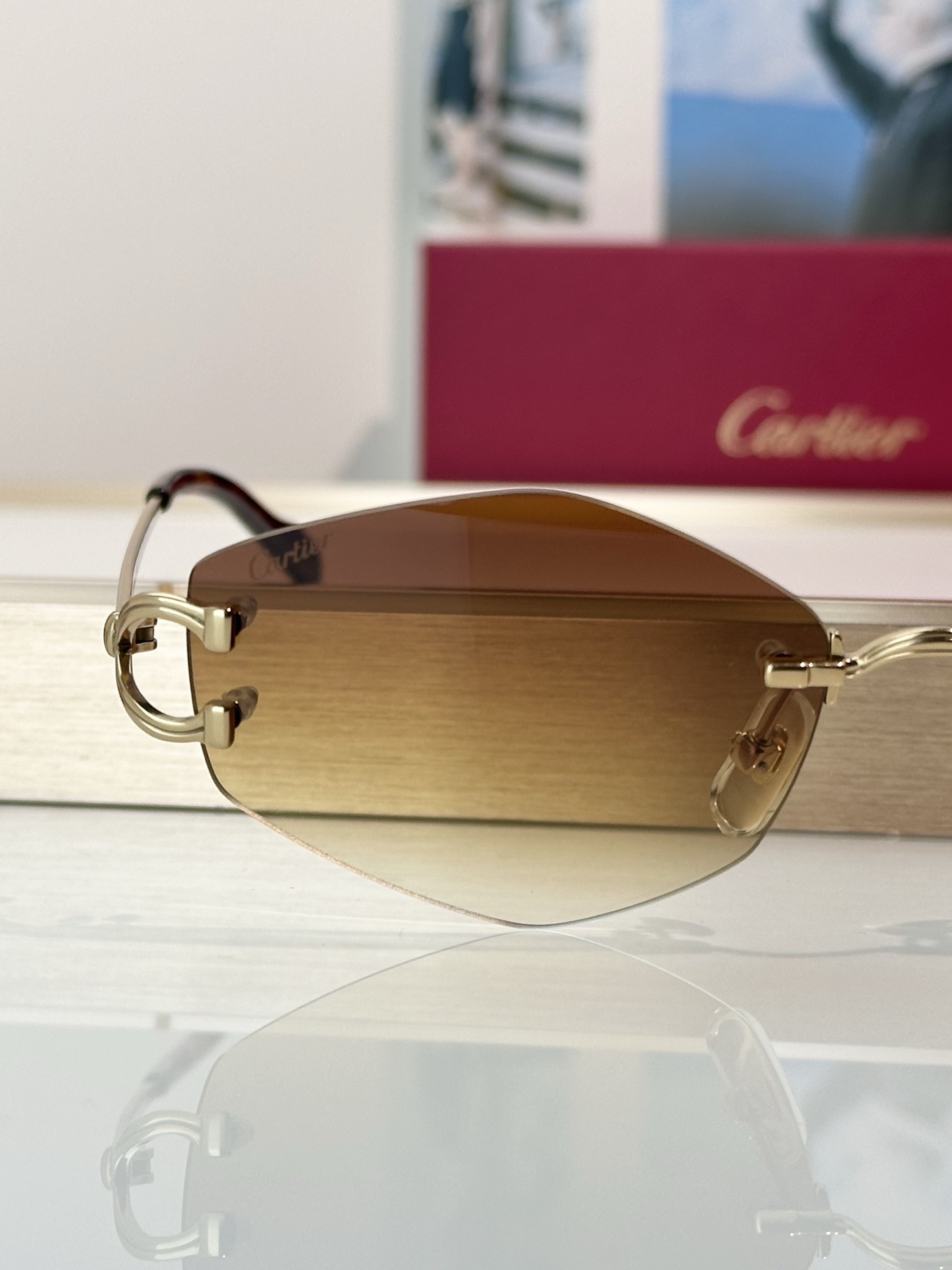 Designer Sunglasses CT0620S