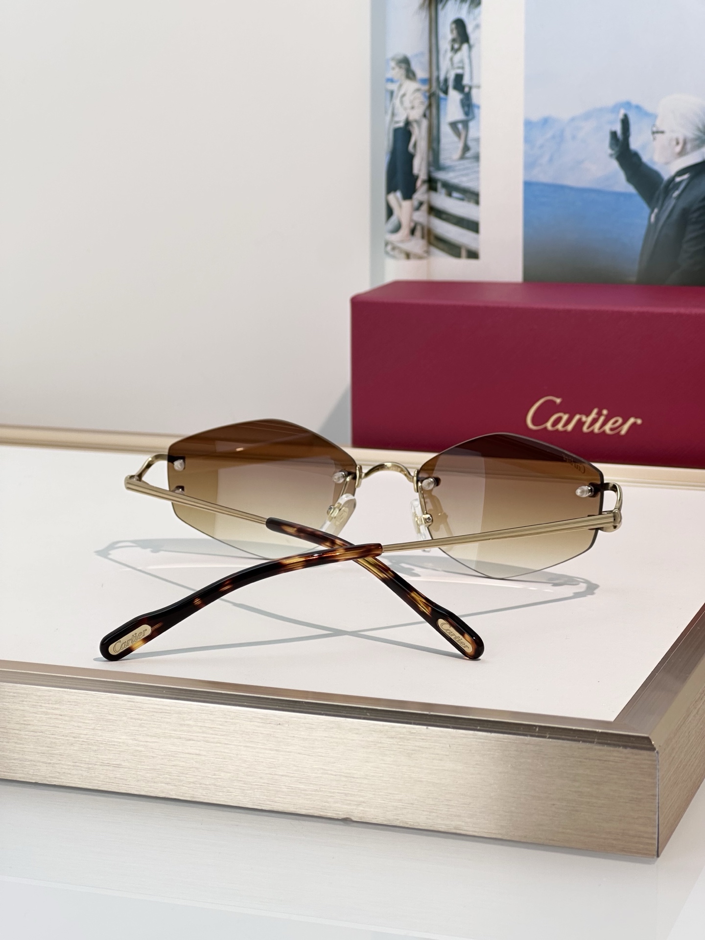 Designer Sunglasses CT0620S