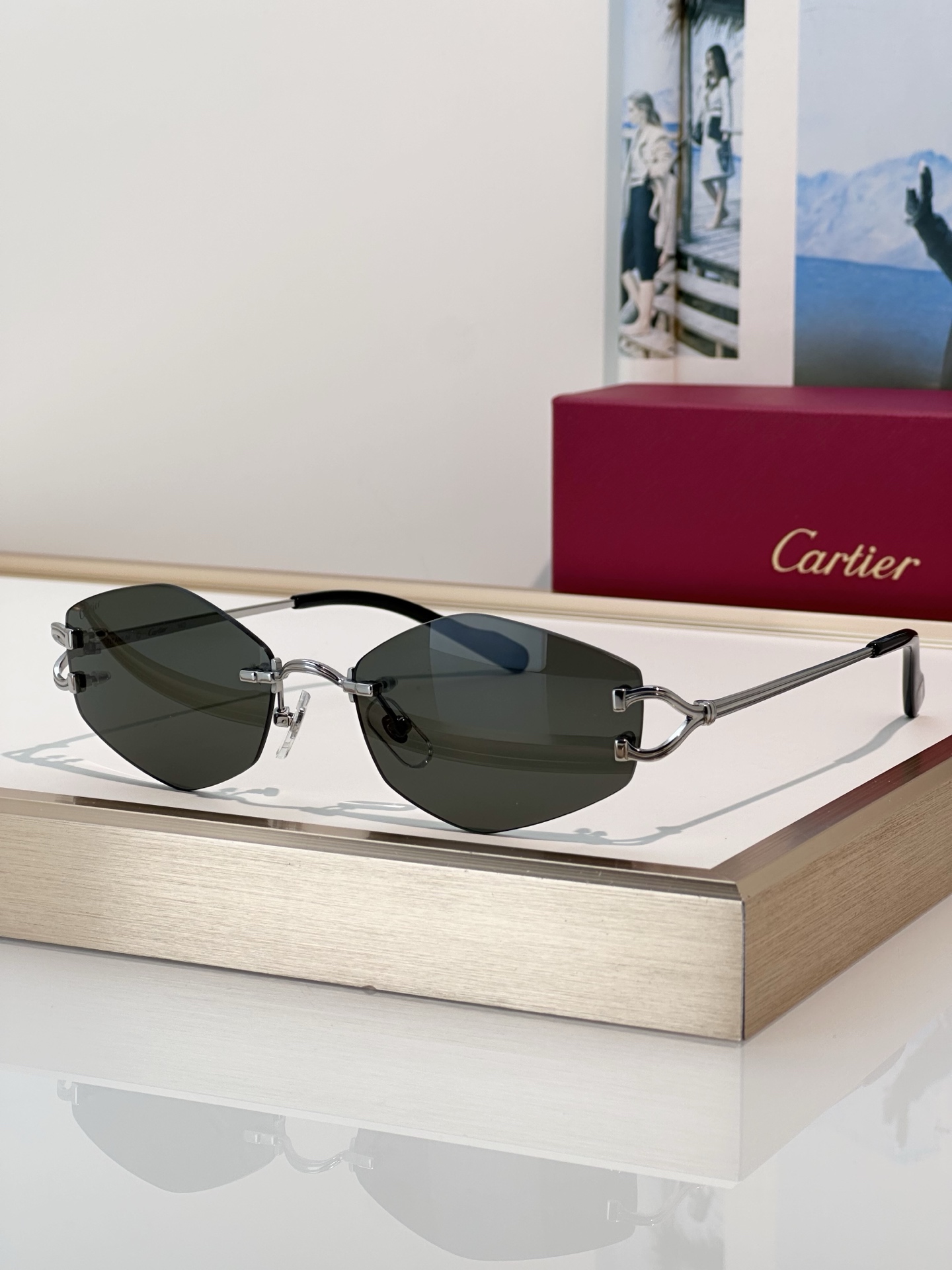 Designer Sunglasses CT0620S
