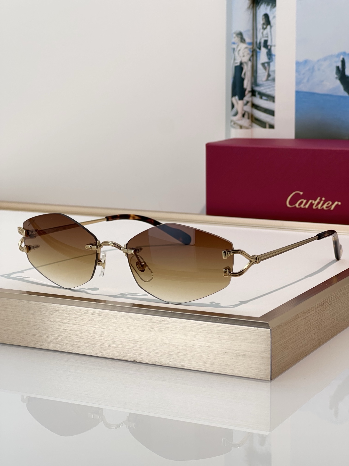Designer Sunglasses CT0620S