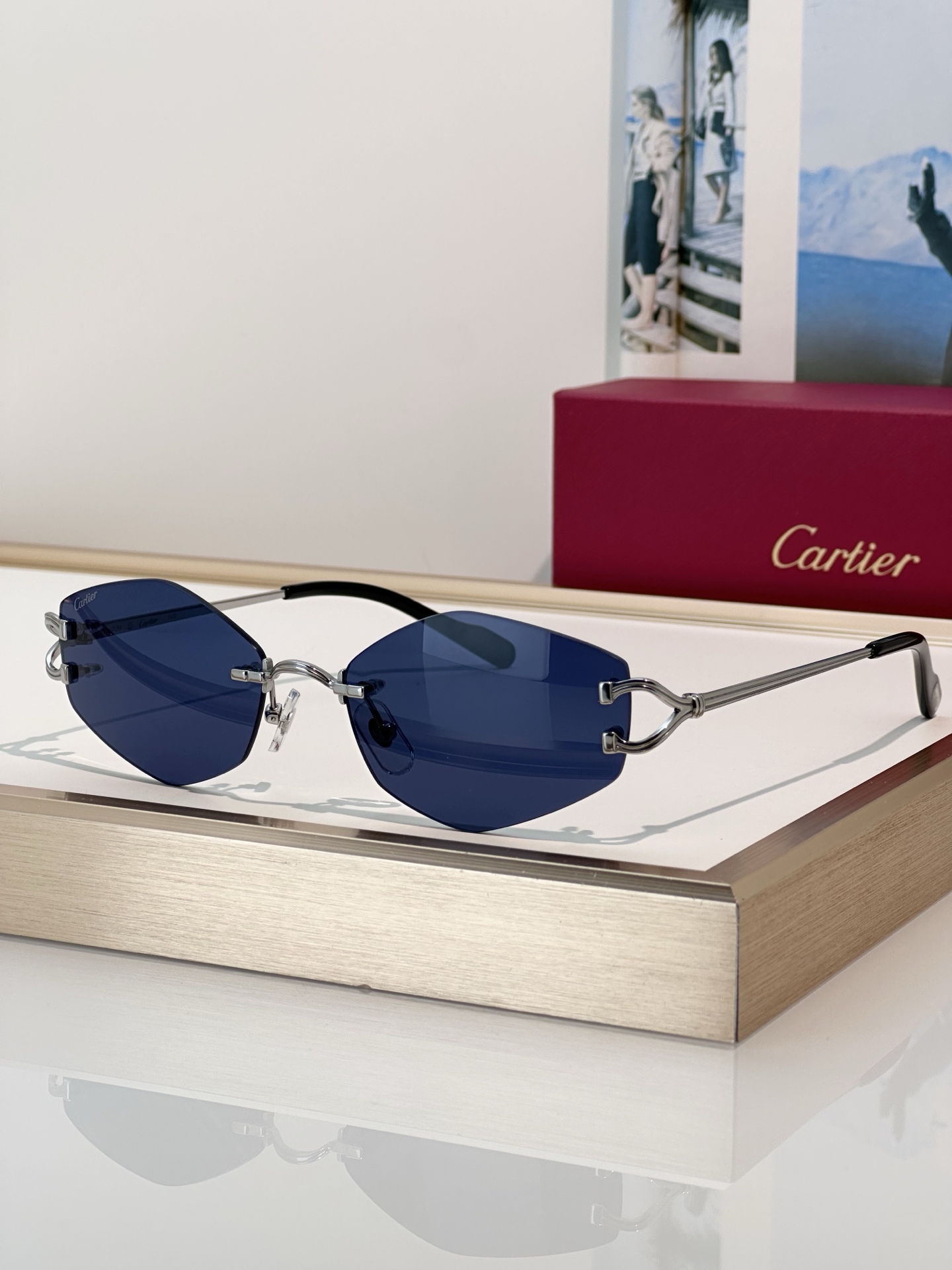 Designer Sunglasses CT0620S