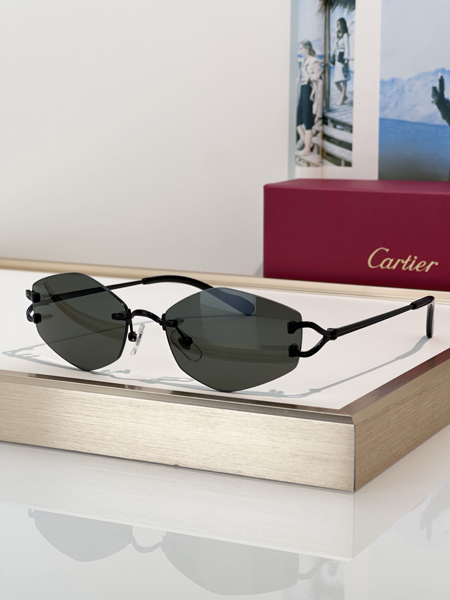Designer Sunglasses CT0620S