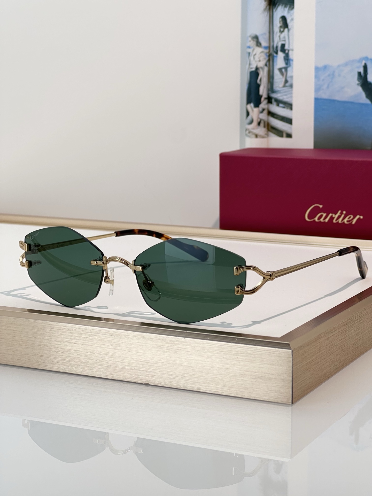 Designer Sunglasses CT0620S