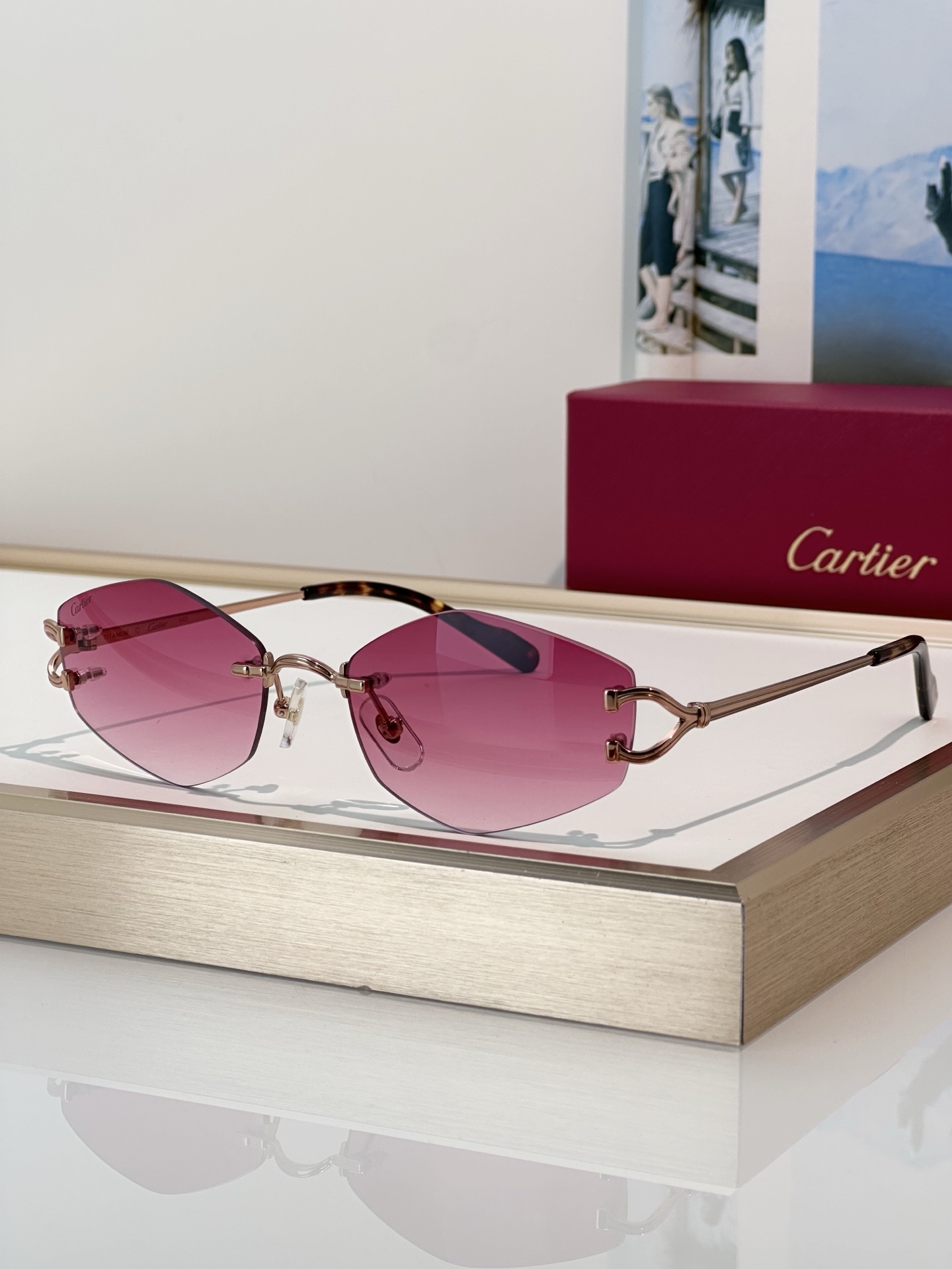 Designer Sunglasses CT0620S