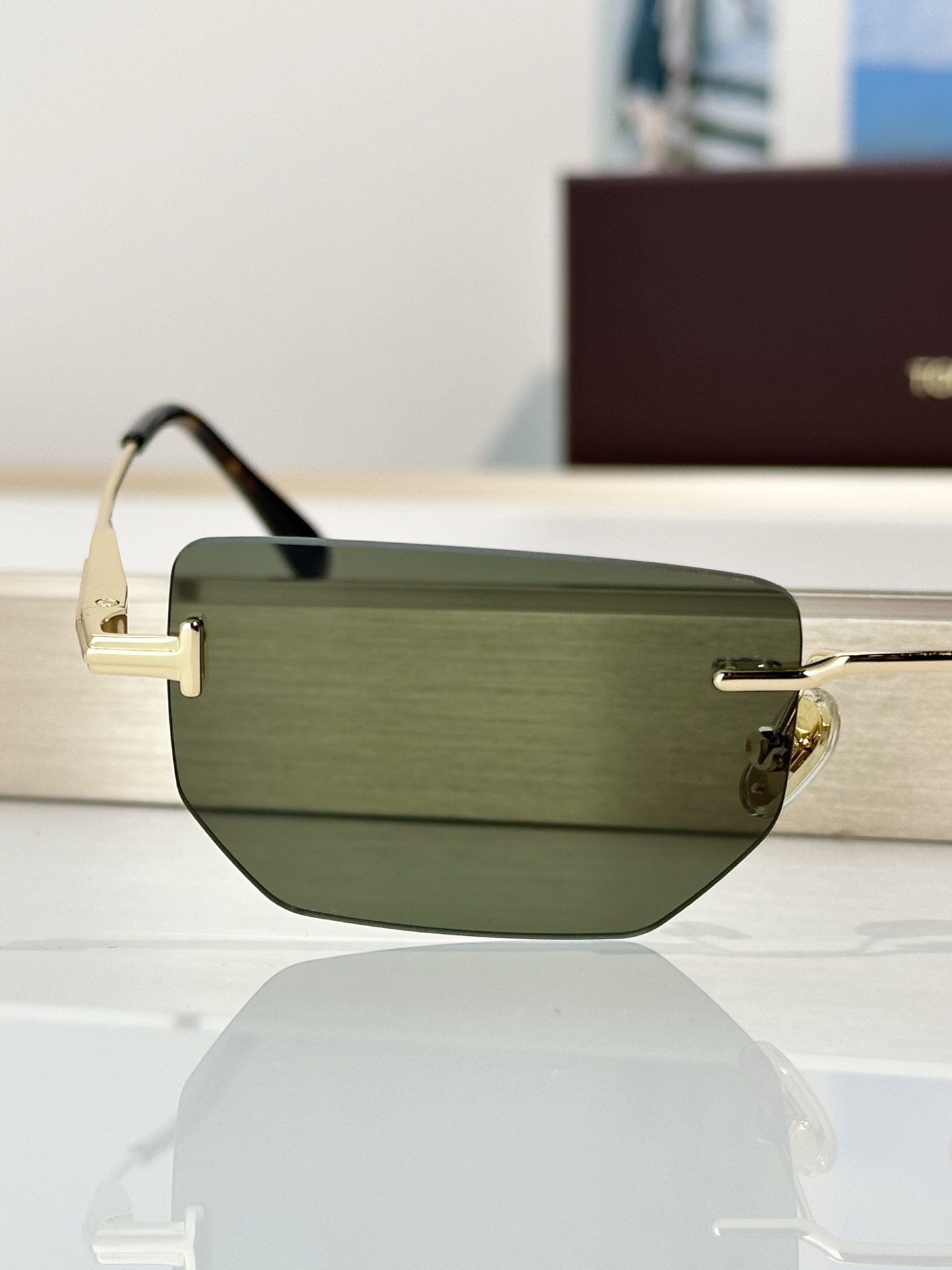 Designer Sunglasses TF1355