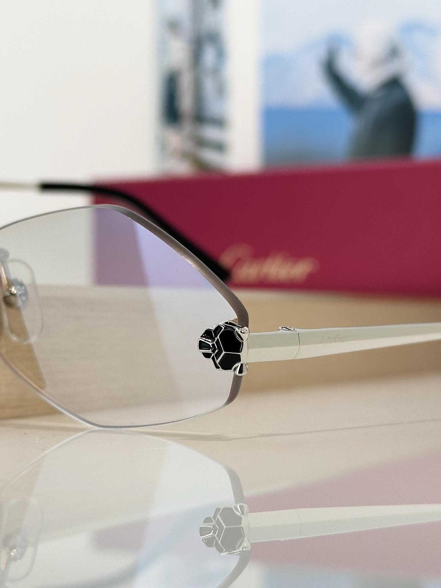 Designer Sunglasses CT0433S