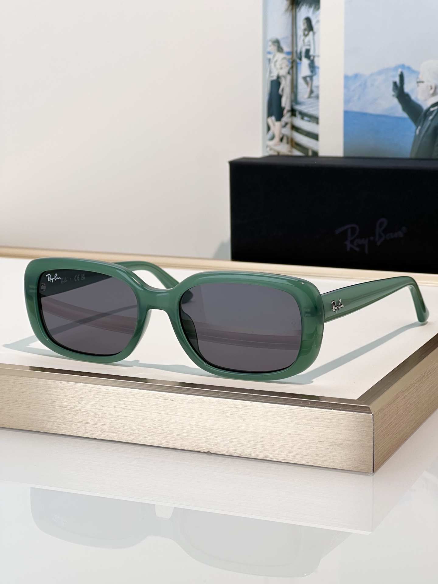 Designer Sunglasses RB4421D