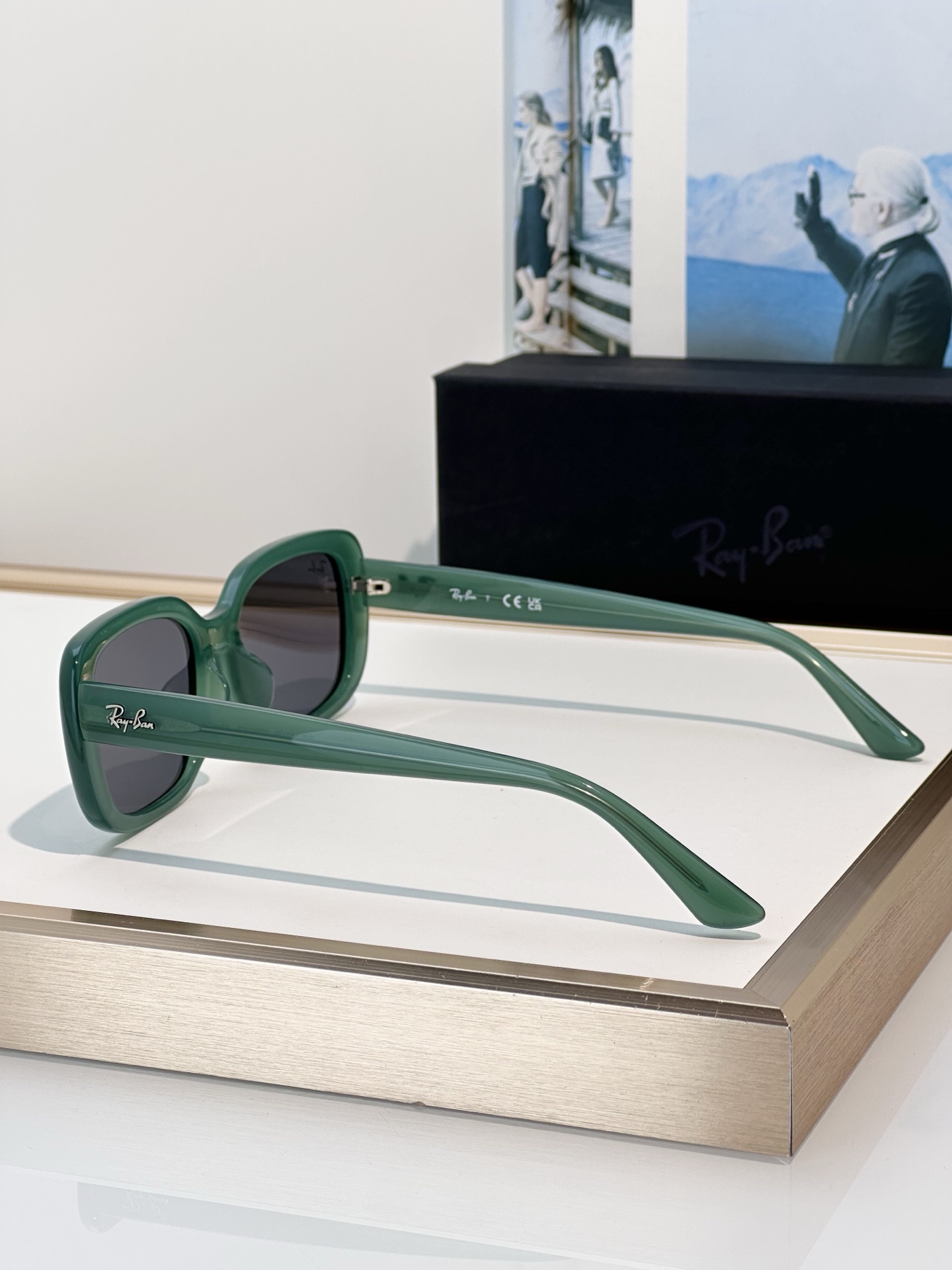 Designer Sunglasses RB4421D