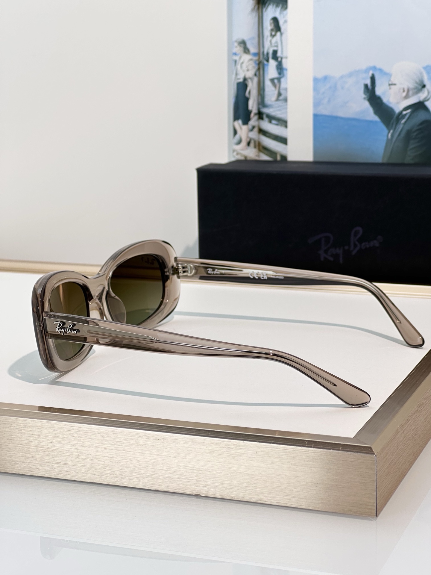 Designer Sunglasses RB2221F