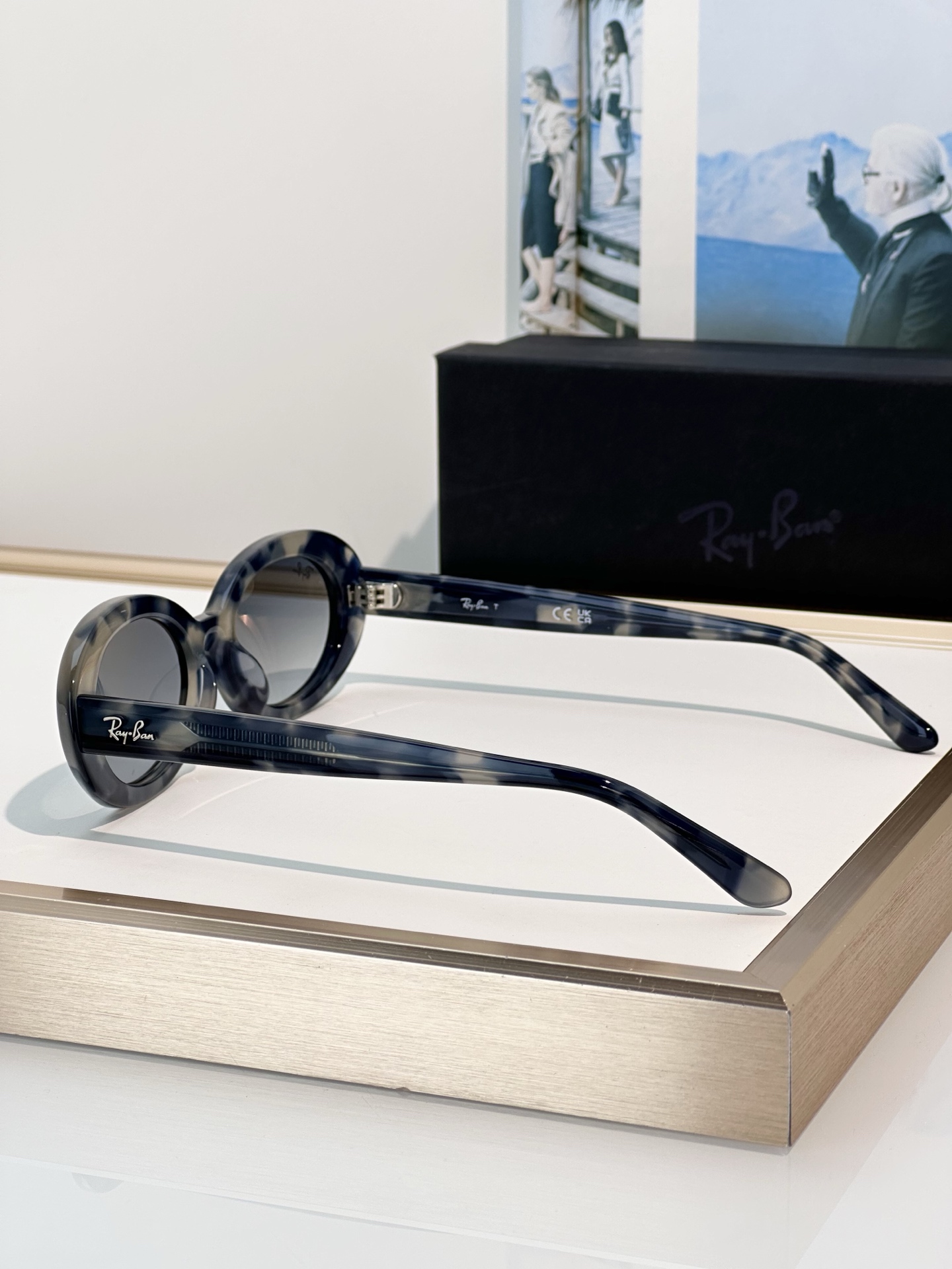Designer Sunglasses RB2223F