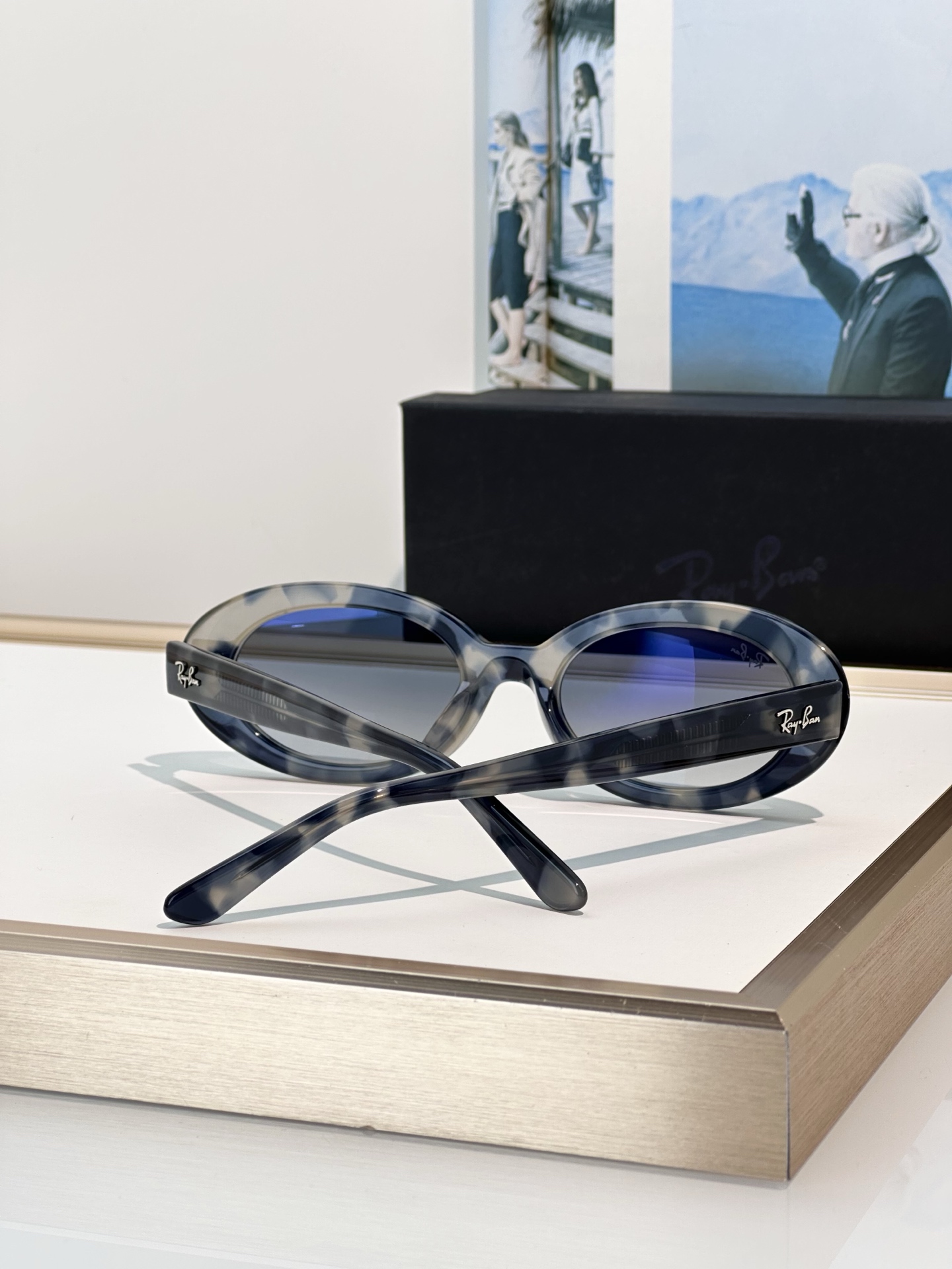 Designer Sunglasses RB2223F