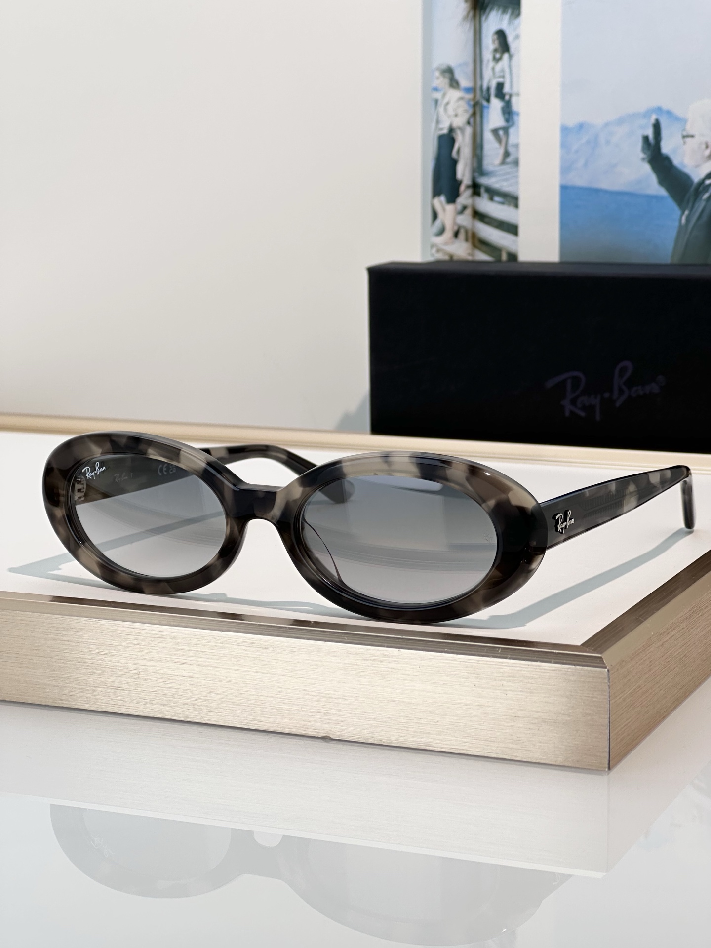 Designer Sunglasses RB2223F