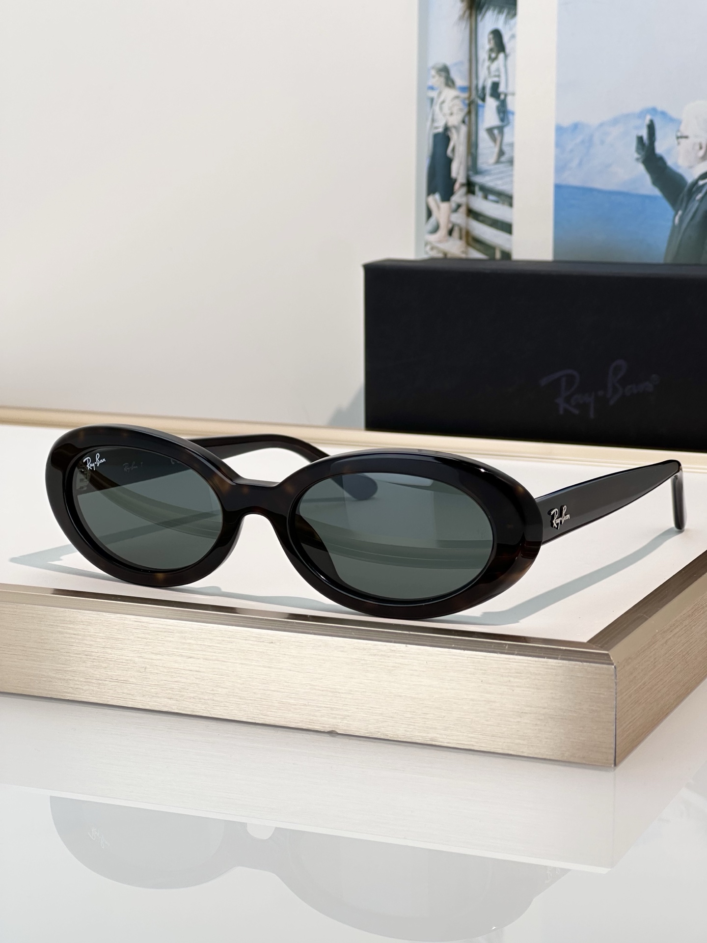 Designer Sunglasses RB2223F