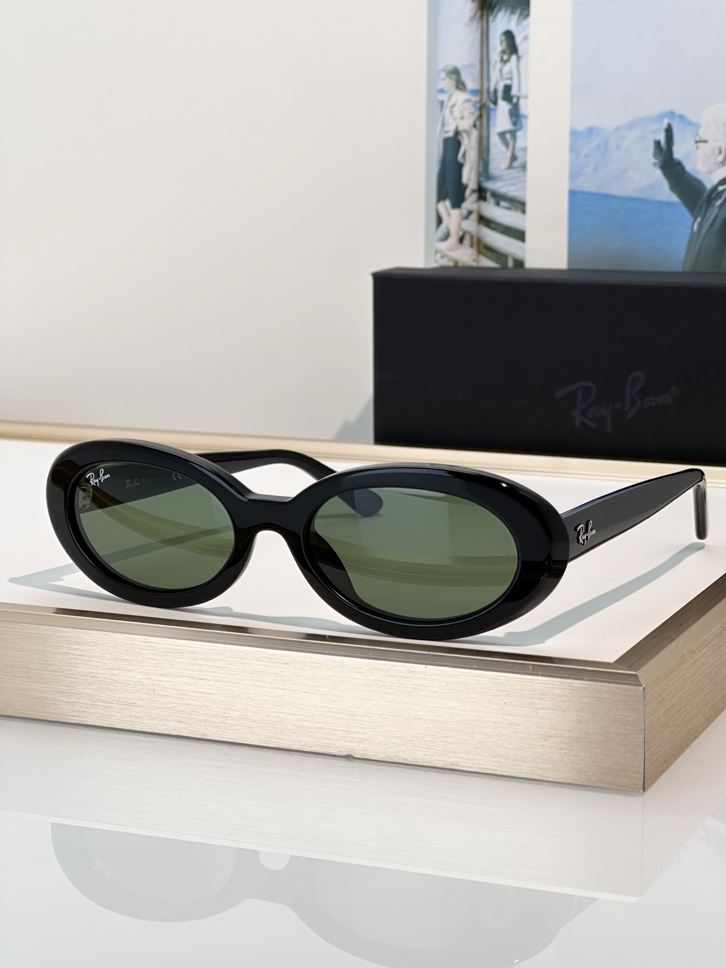Designer Sunglasses RB2223F
