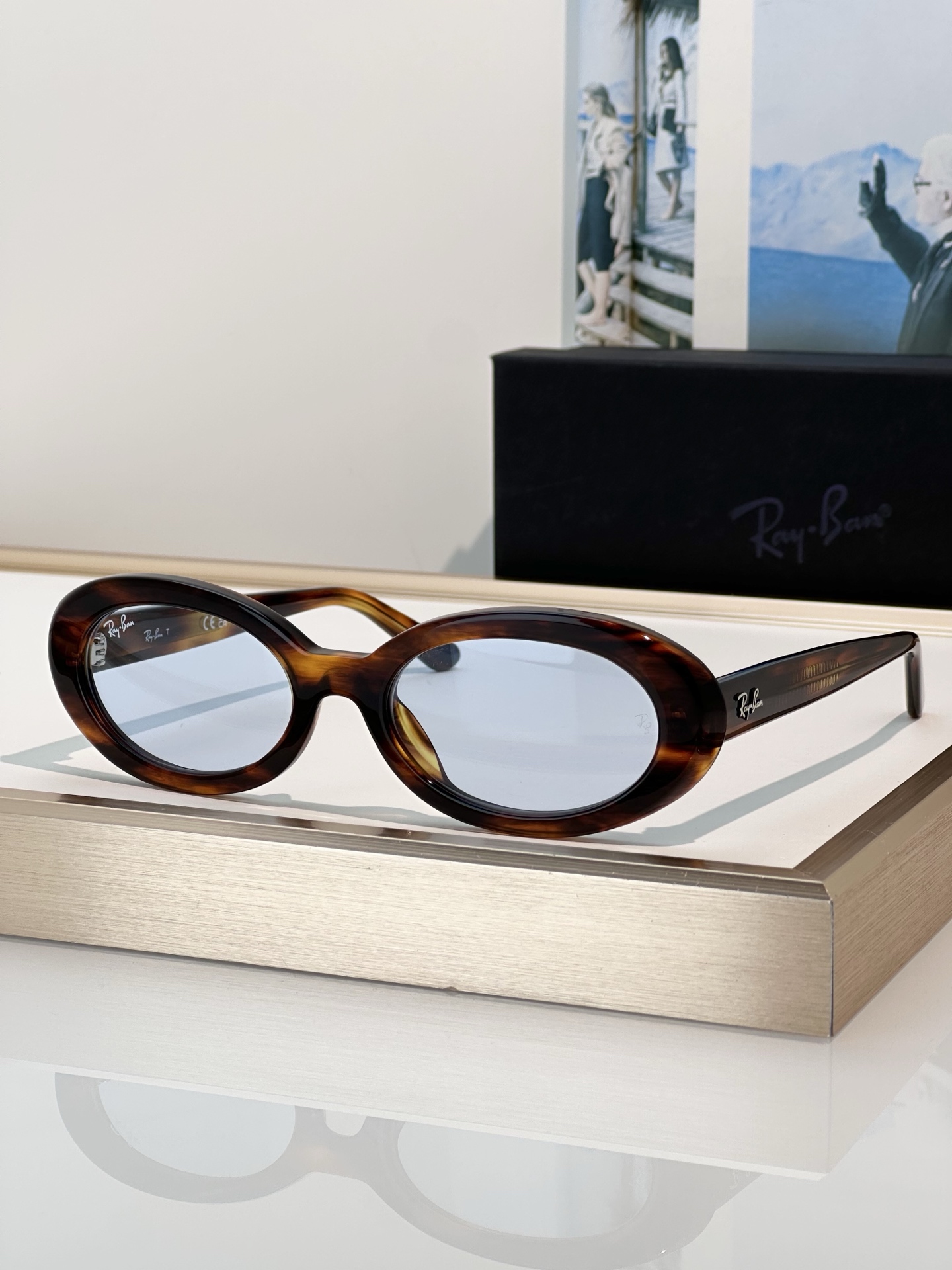 Designer Sunglasses RB2223F