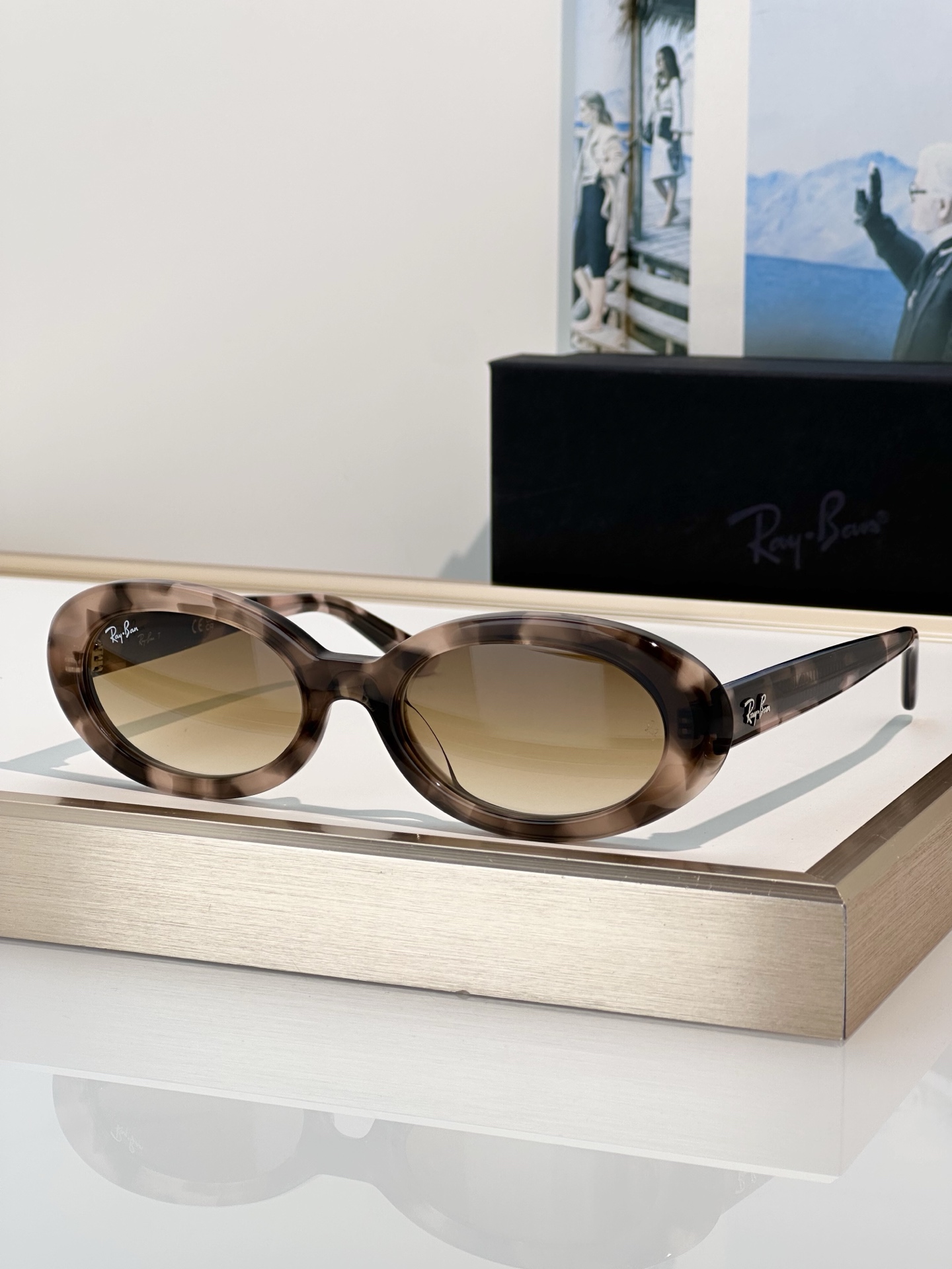 Designer Sunglasses RB2223F