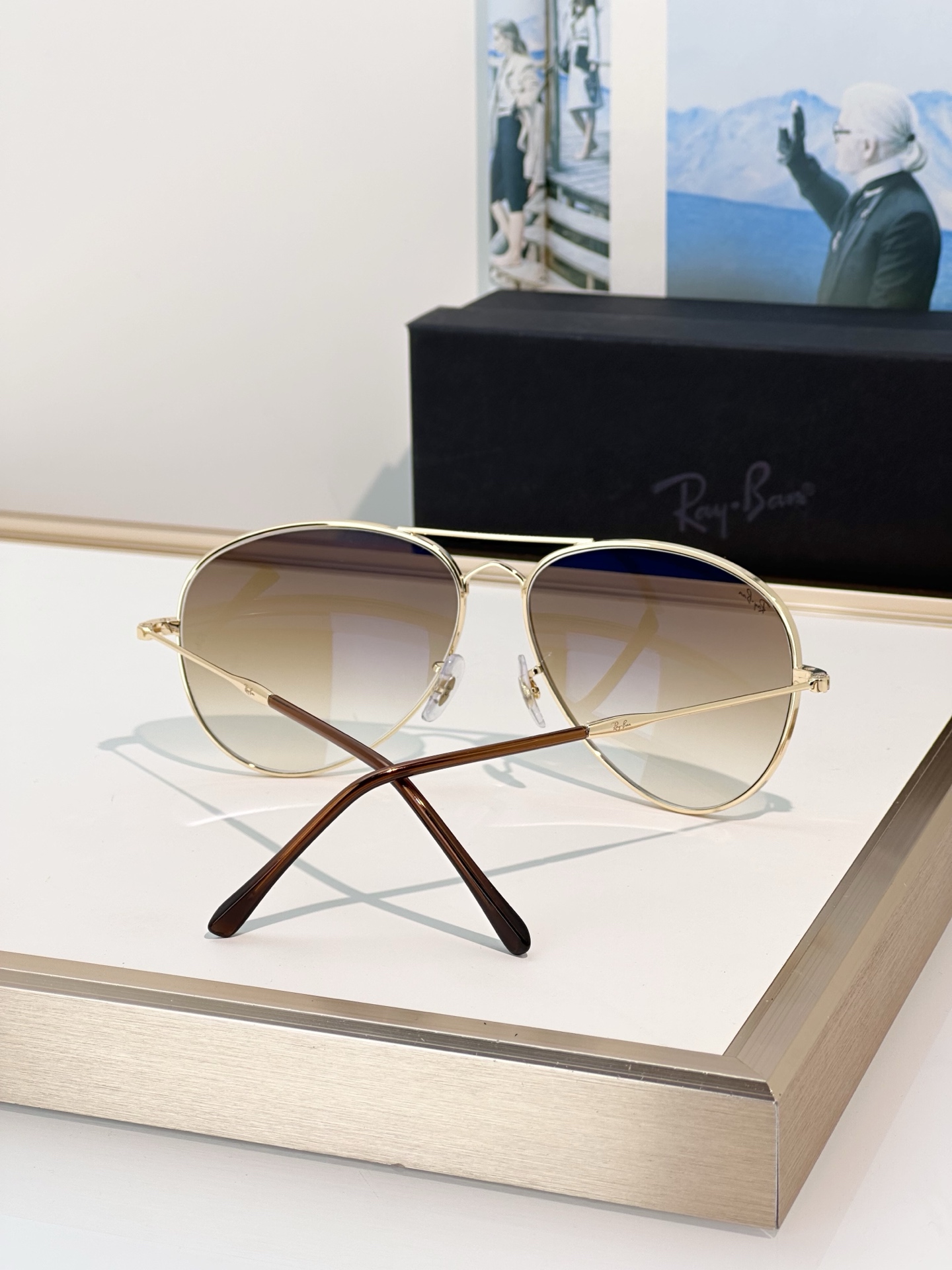 Designer Sunglasses RB3825