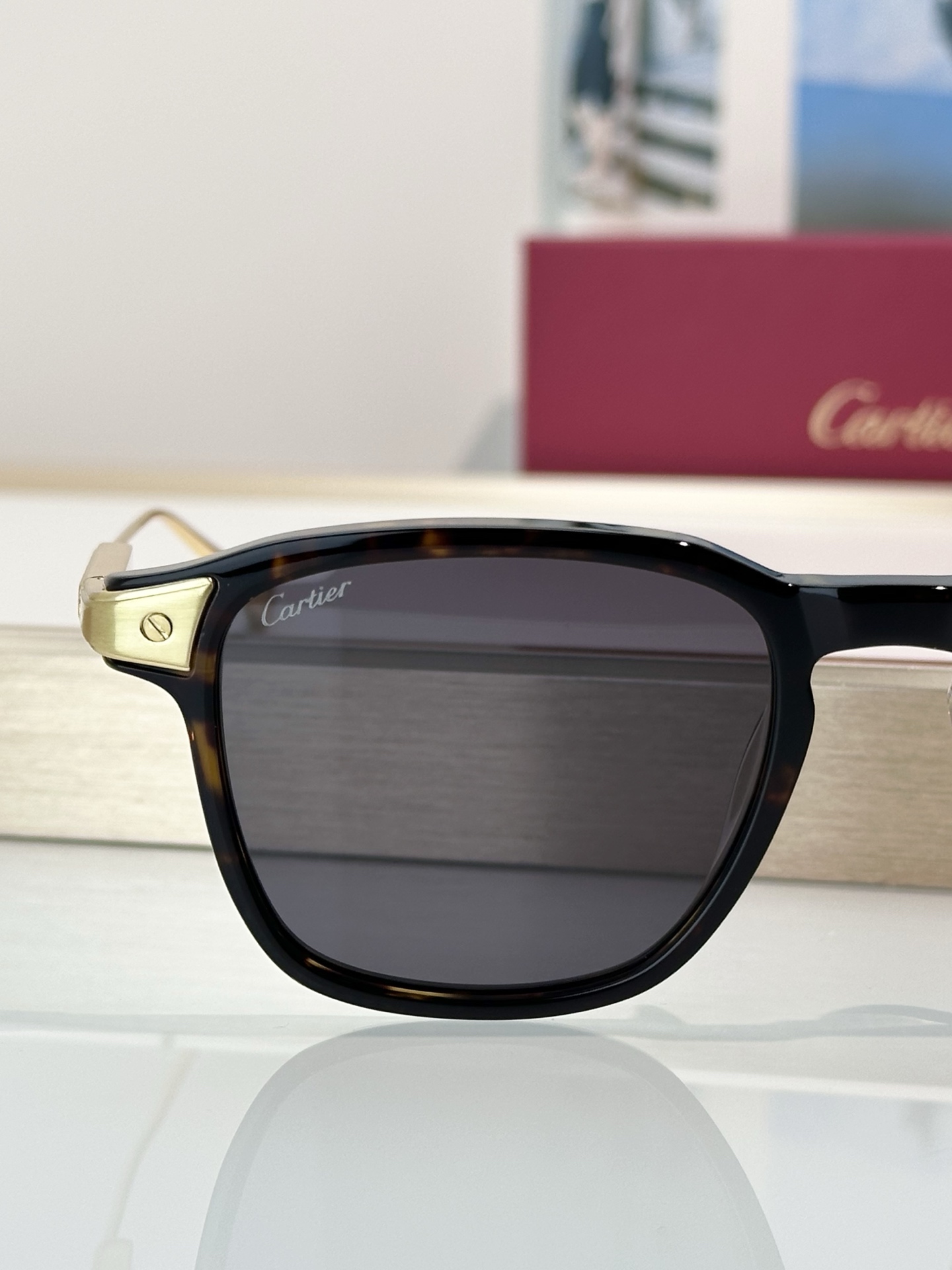Designer Sunglasses CT0611O