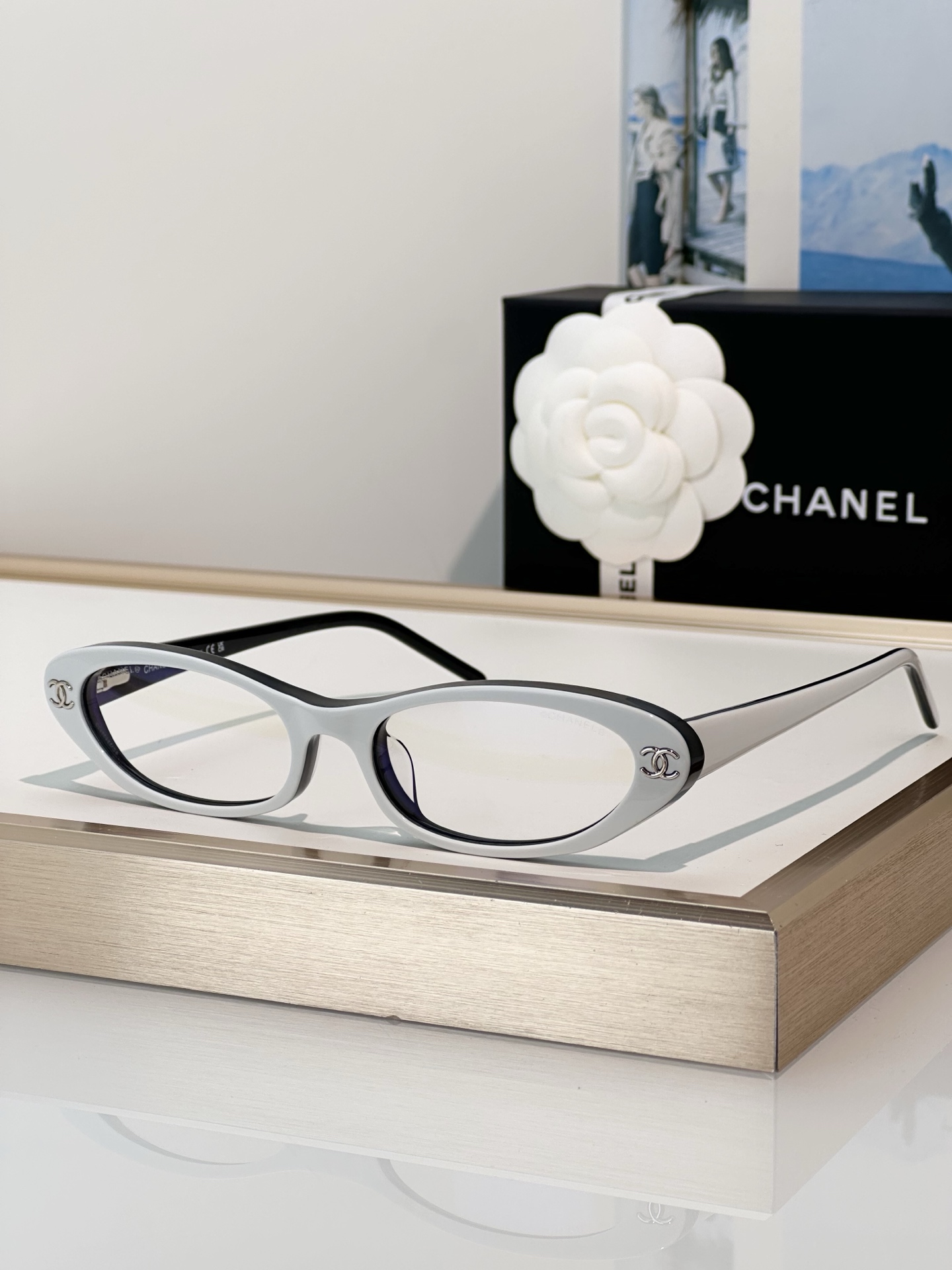 Chanel Sunglasses CH3025