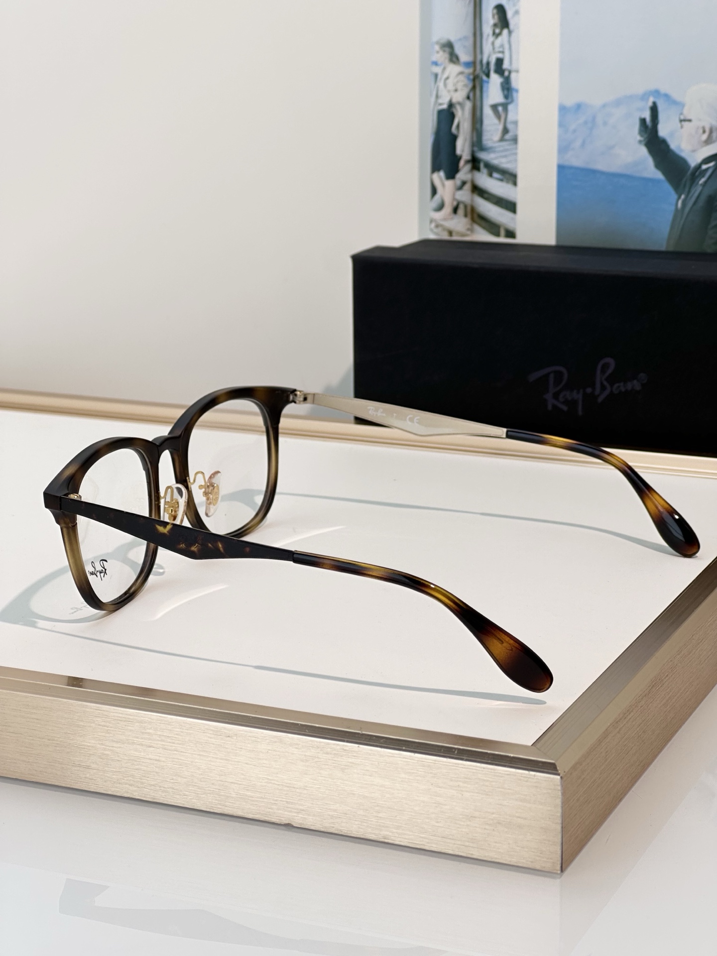 Designer Sunglasses RB7112