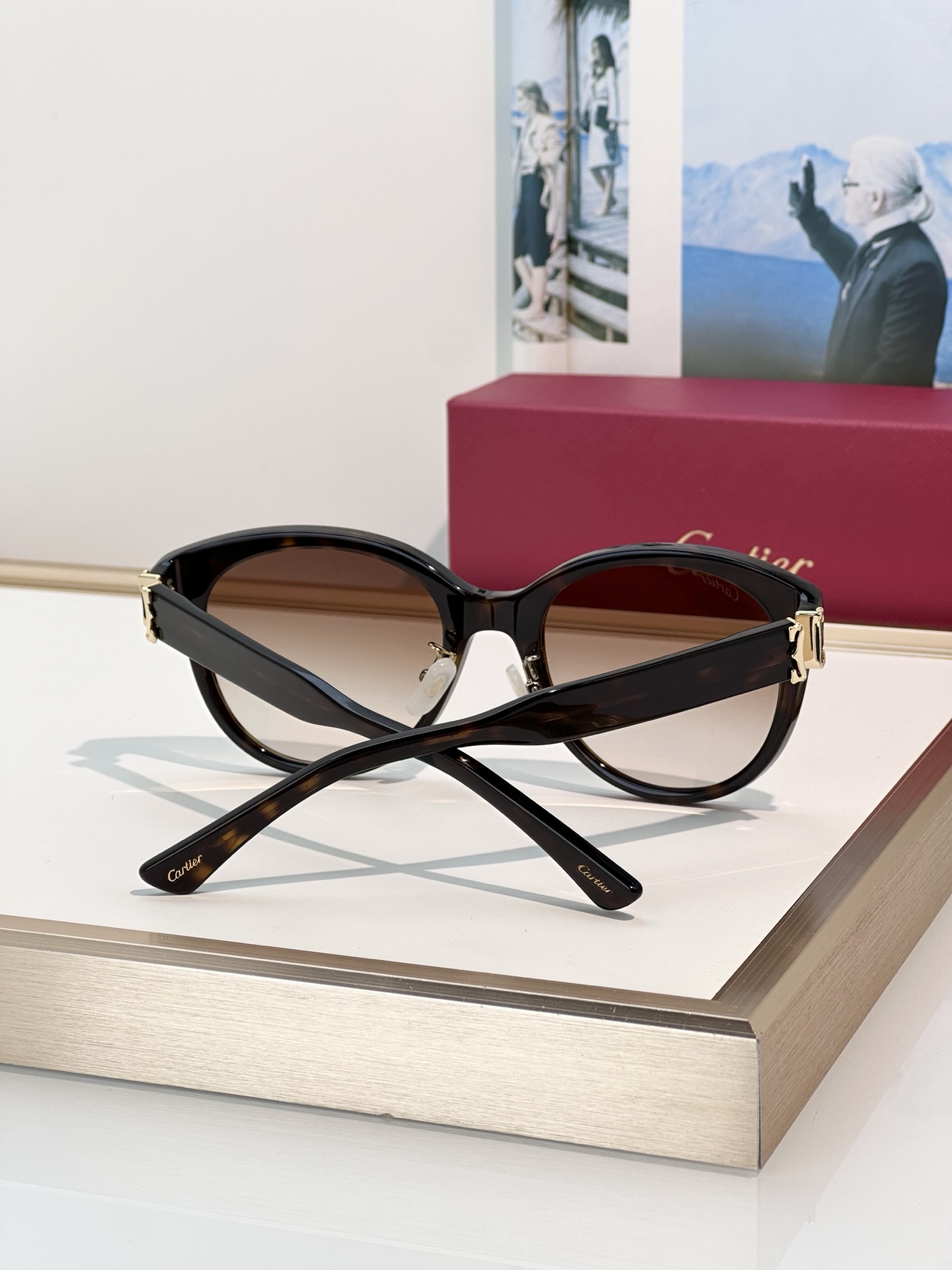 Designer Sunglasses CT0438SA