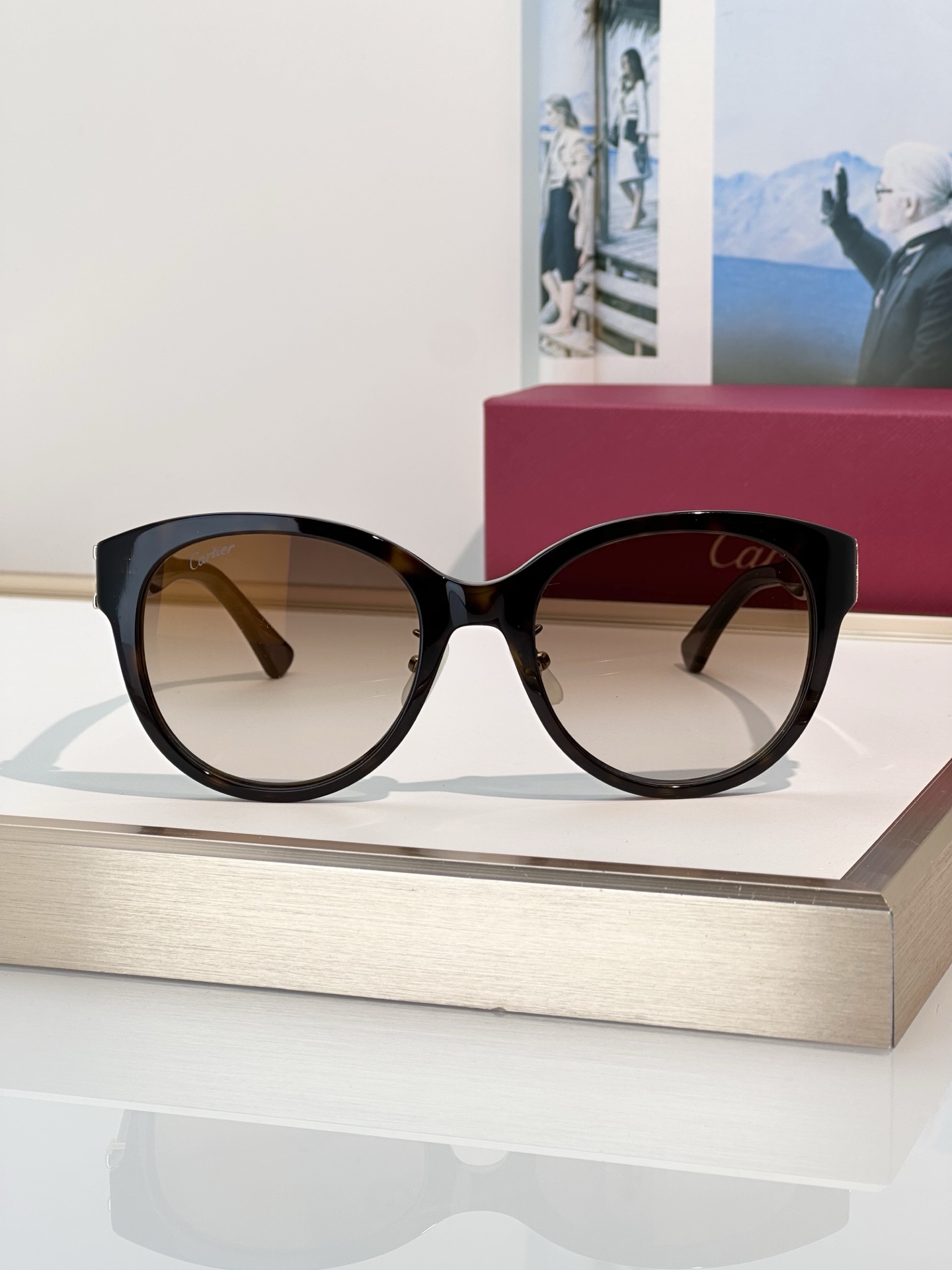 Designer Sunglasses CT0438SA