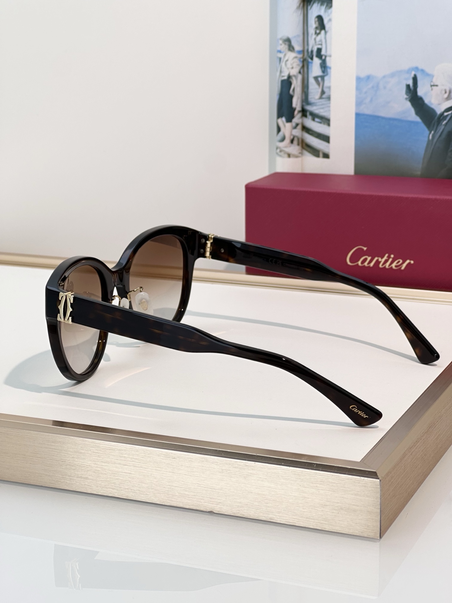 Designer Sunglasses CT0438SA