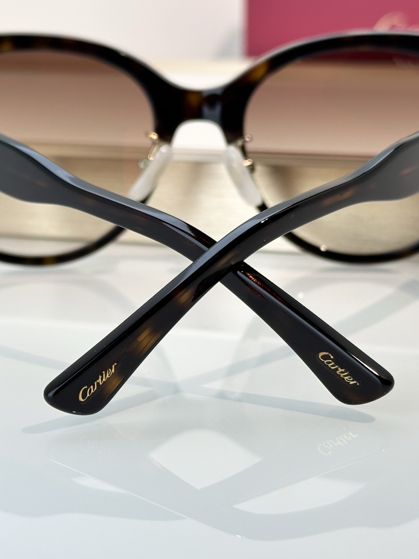 Designer Sunglasses CT0438SA