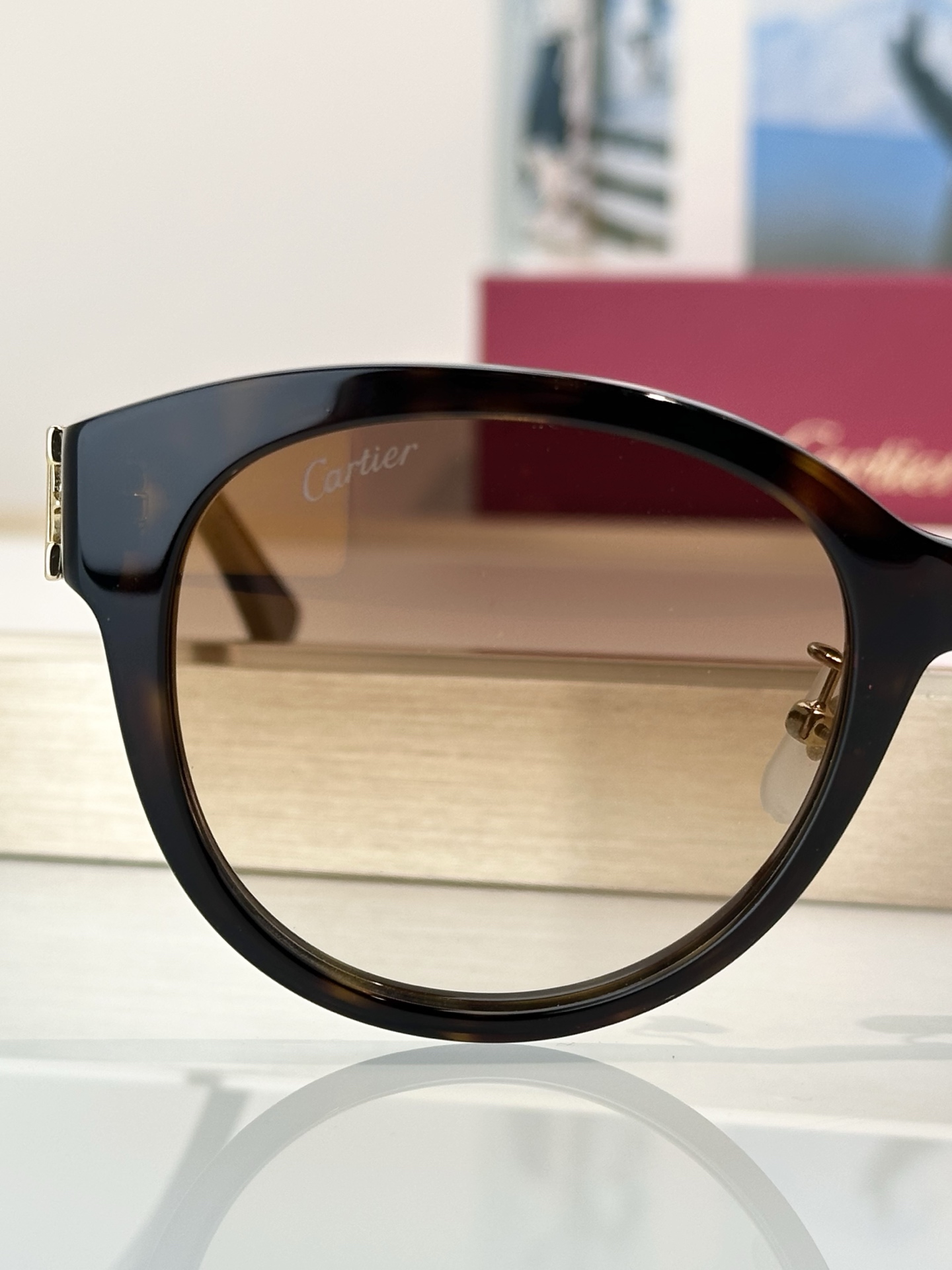 Designer Sunglasses CT0438SA
