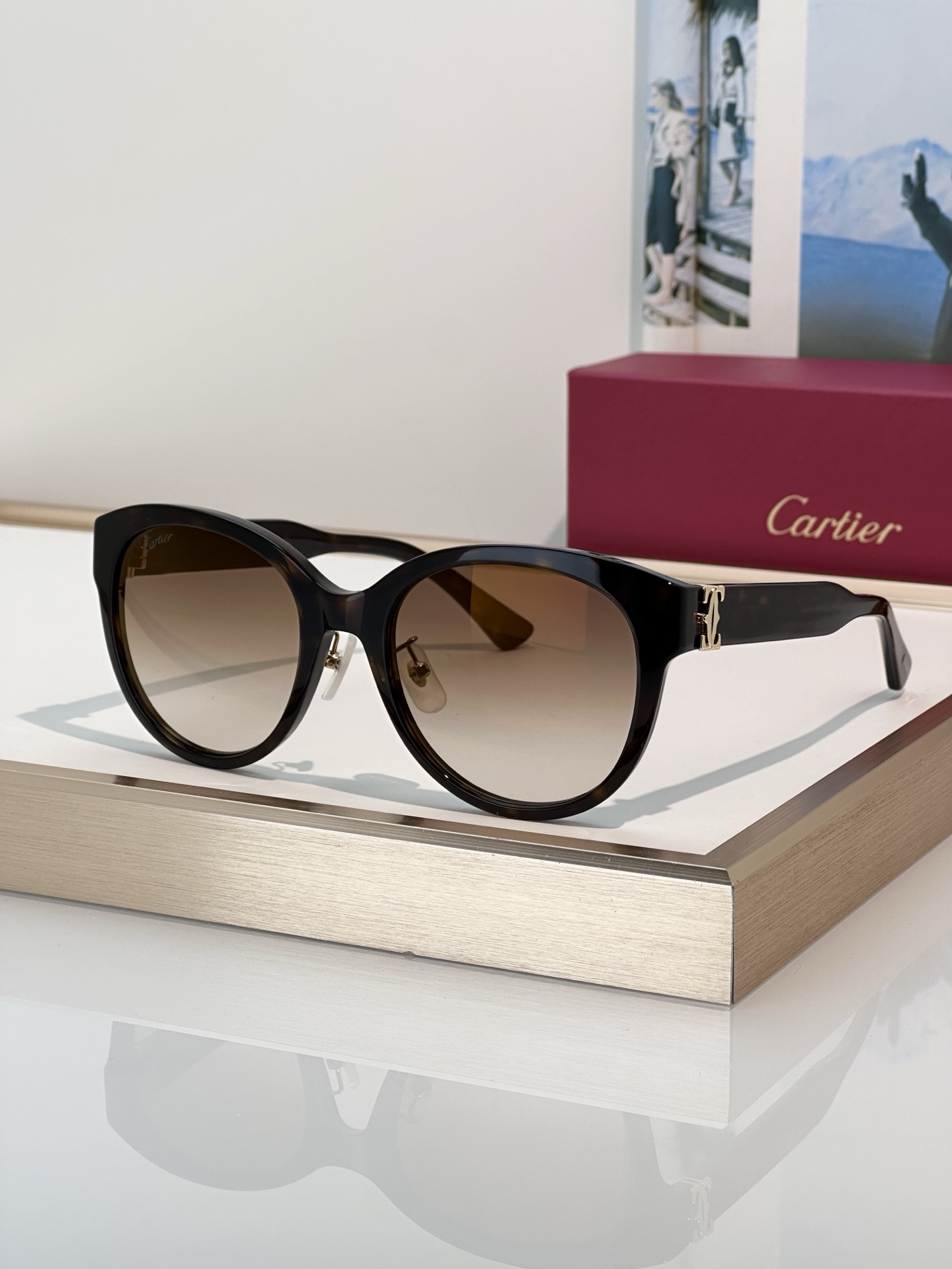 Designer Sunglasses CT0438SA