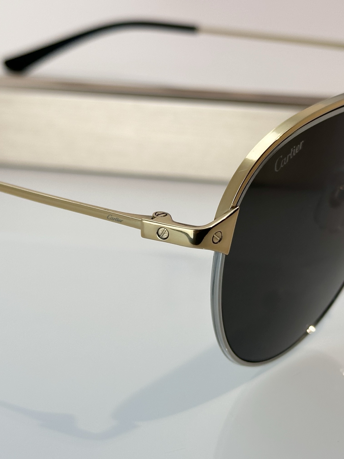 Designer Sunglasses CT0325S