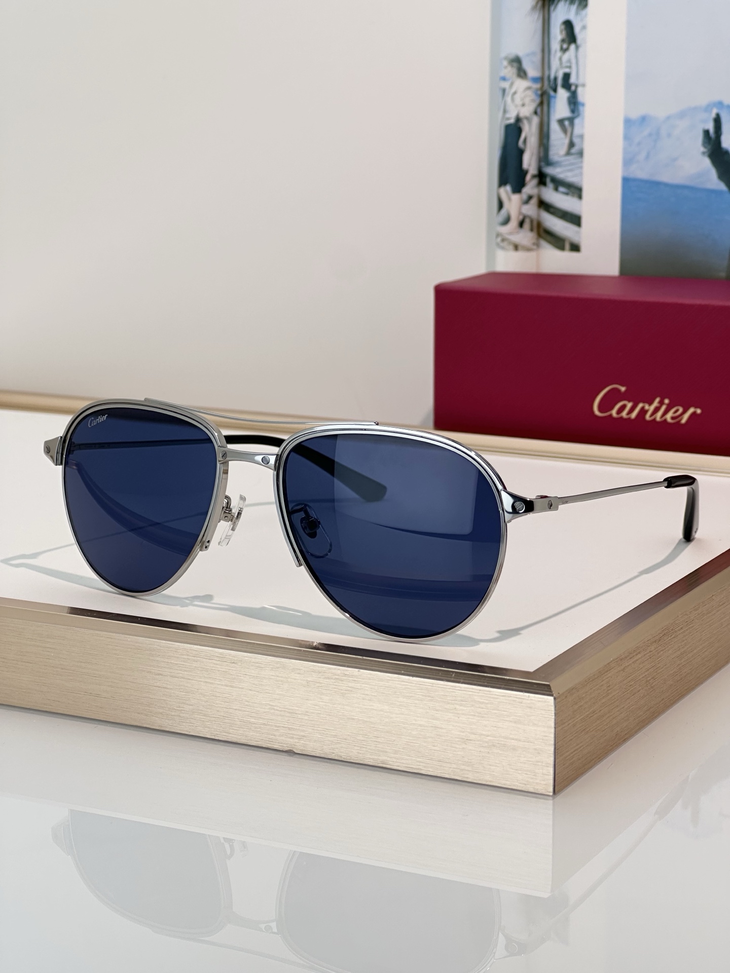 Designer Sunglasses CT0325S