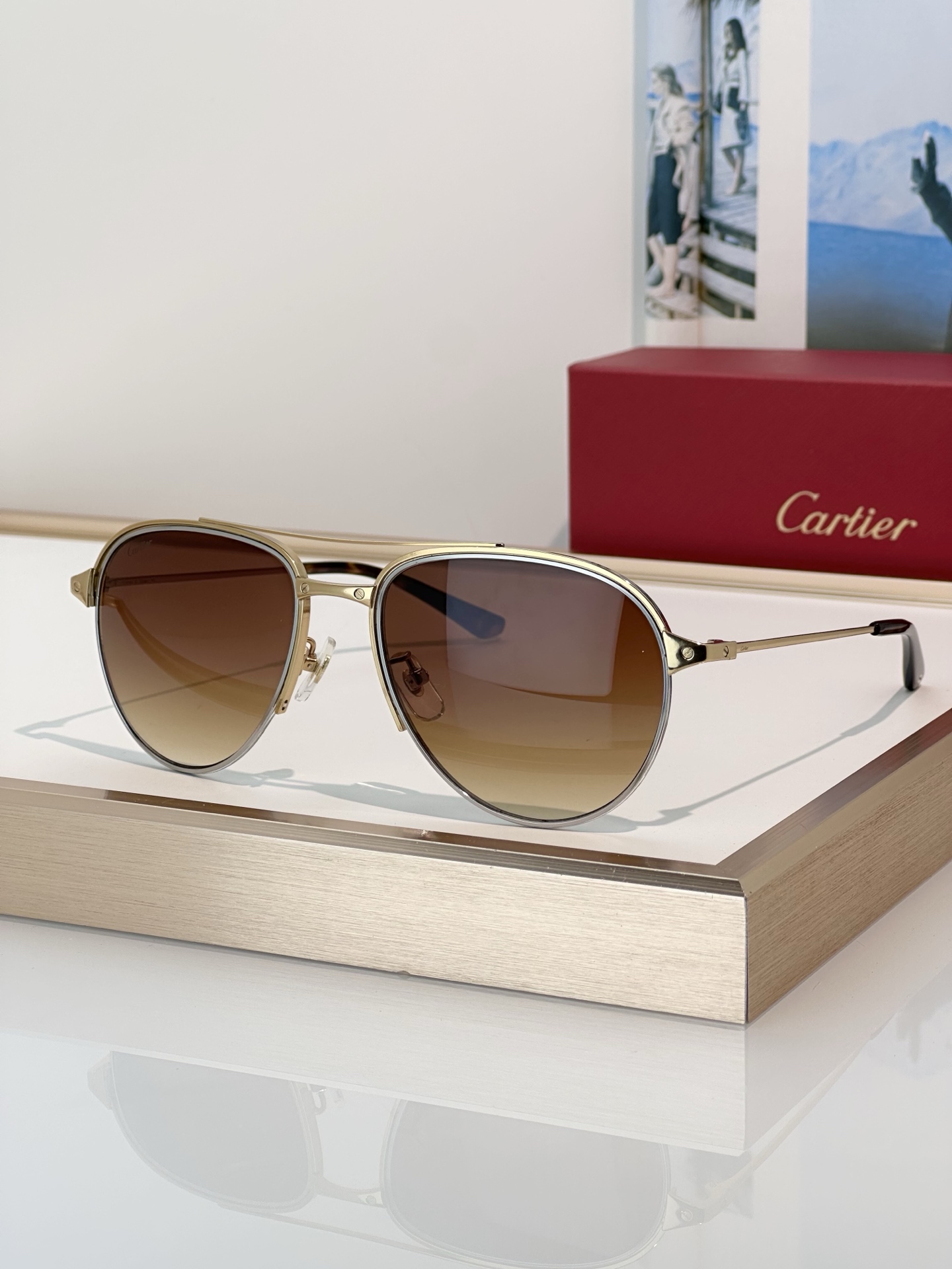 Designer Sunglasses CT0325S