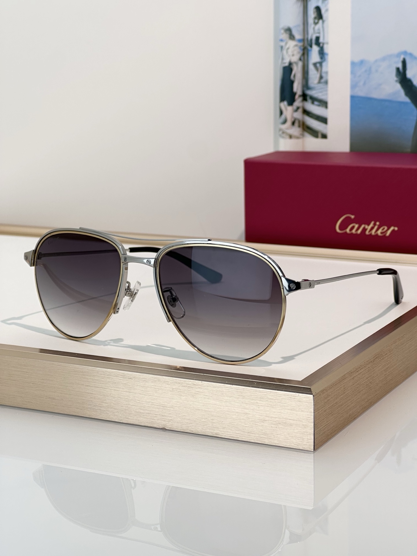 Designer Sunglasses CT0325S