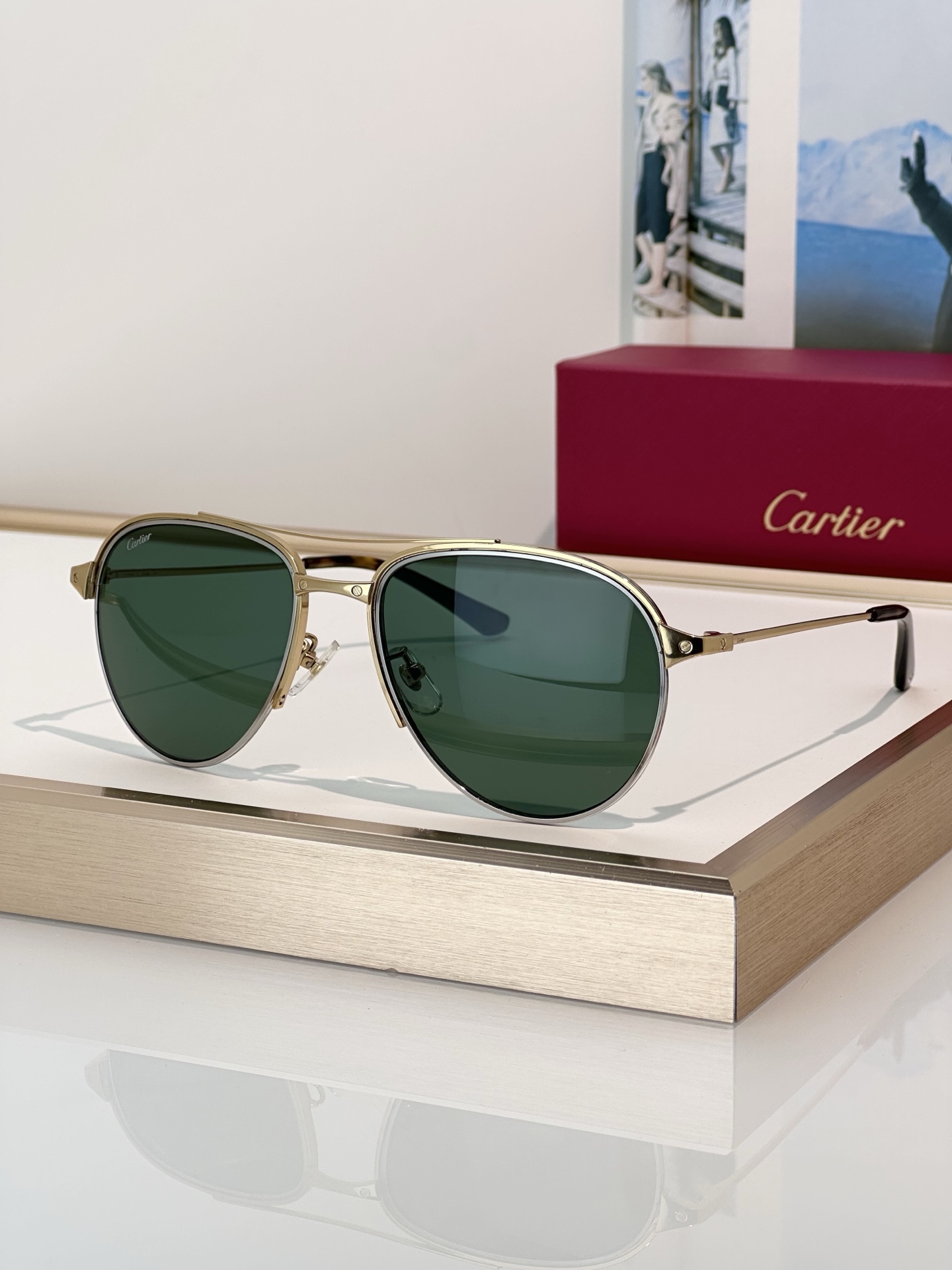 Designer Sunglasses CT0325S