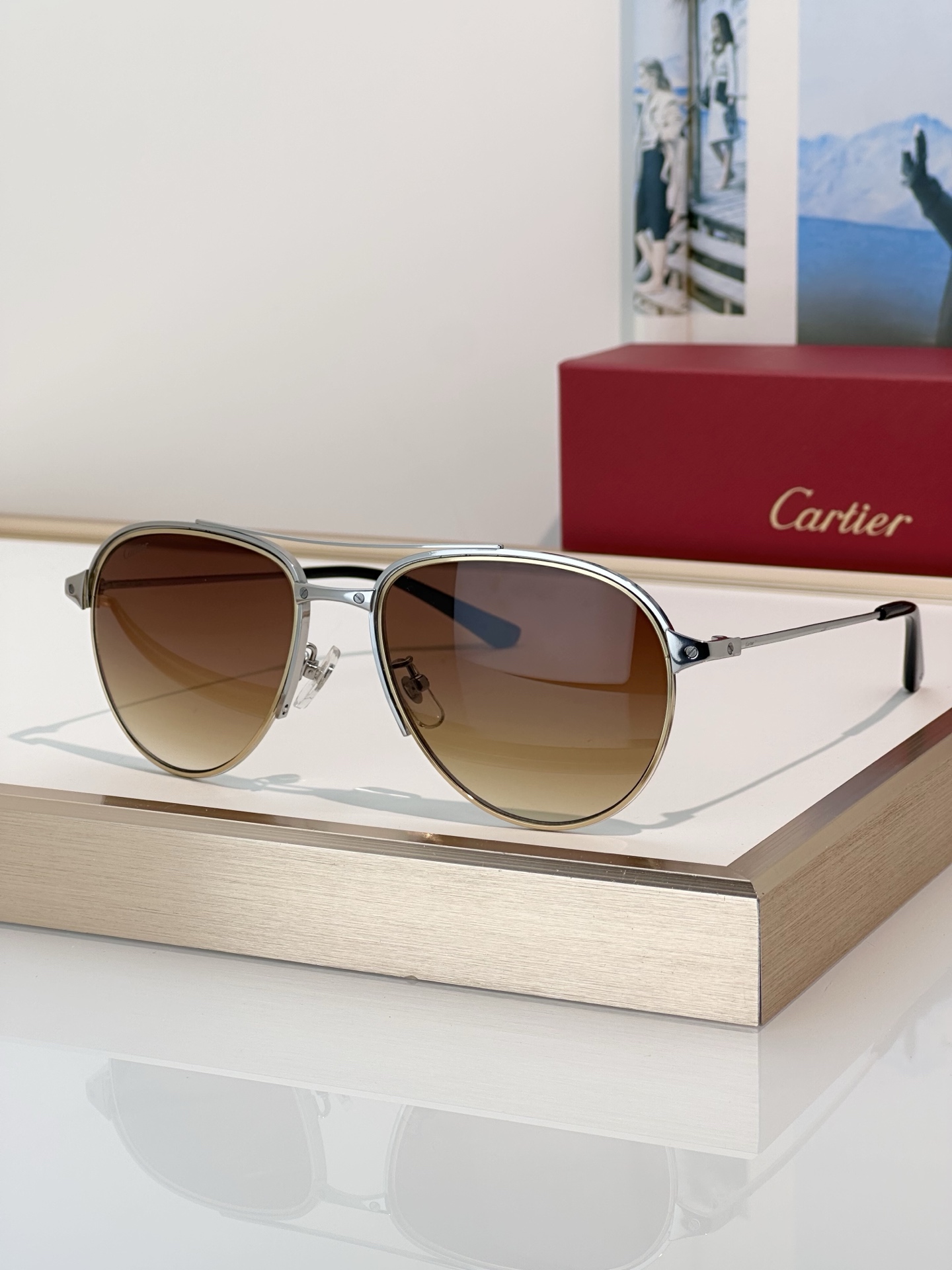 Designer Sunglasses CT0325S