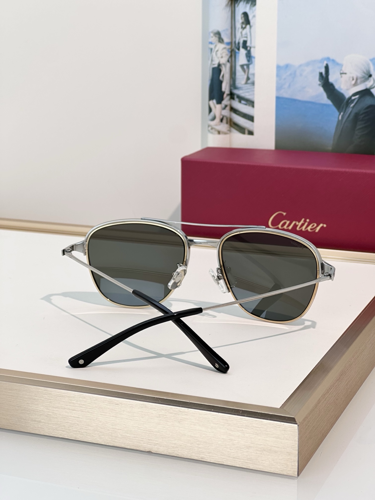 Designer Sunglasses CT0326S