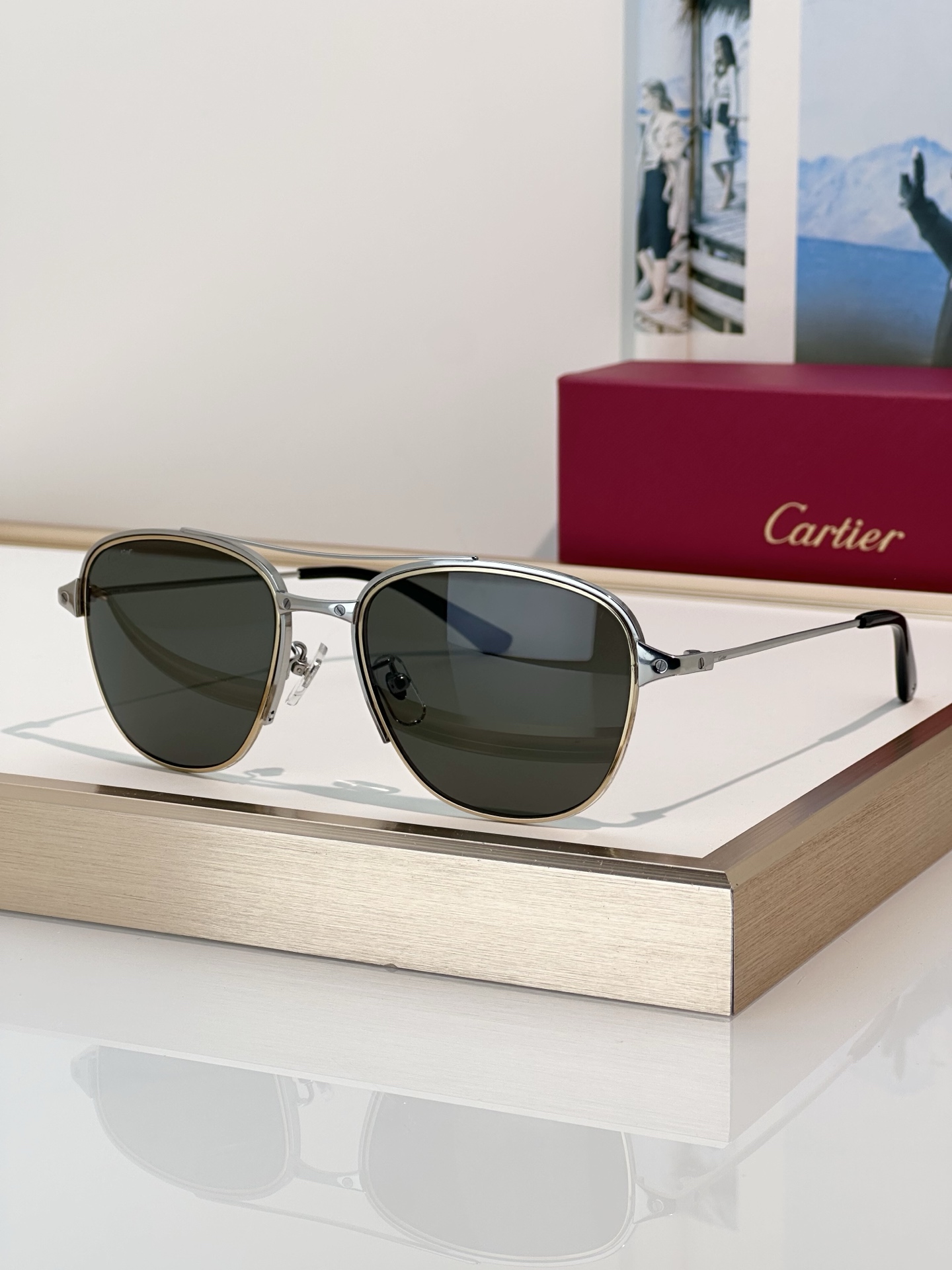 Designer Sunglasses CT0326S