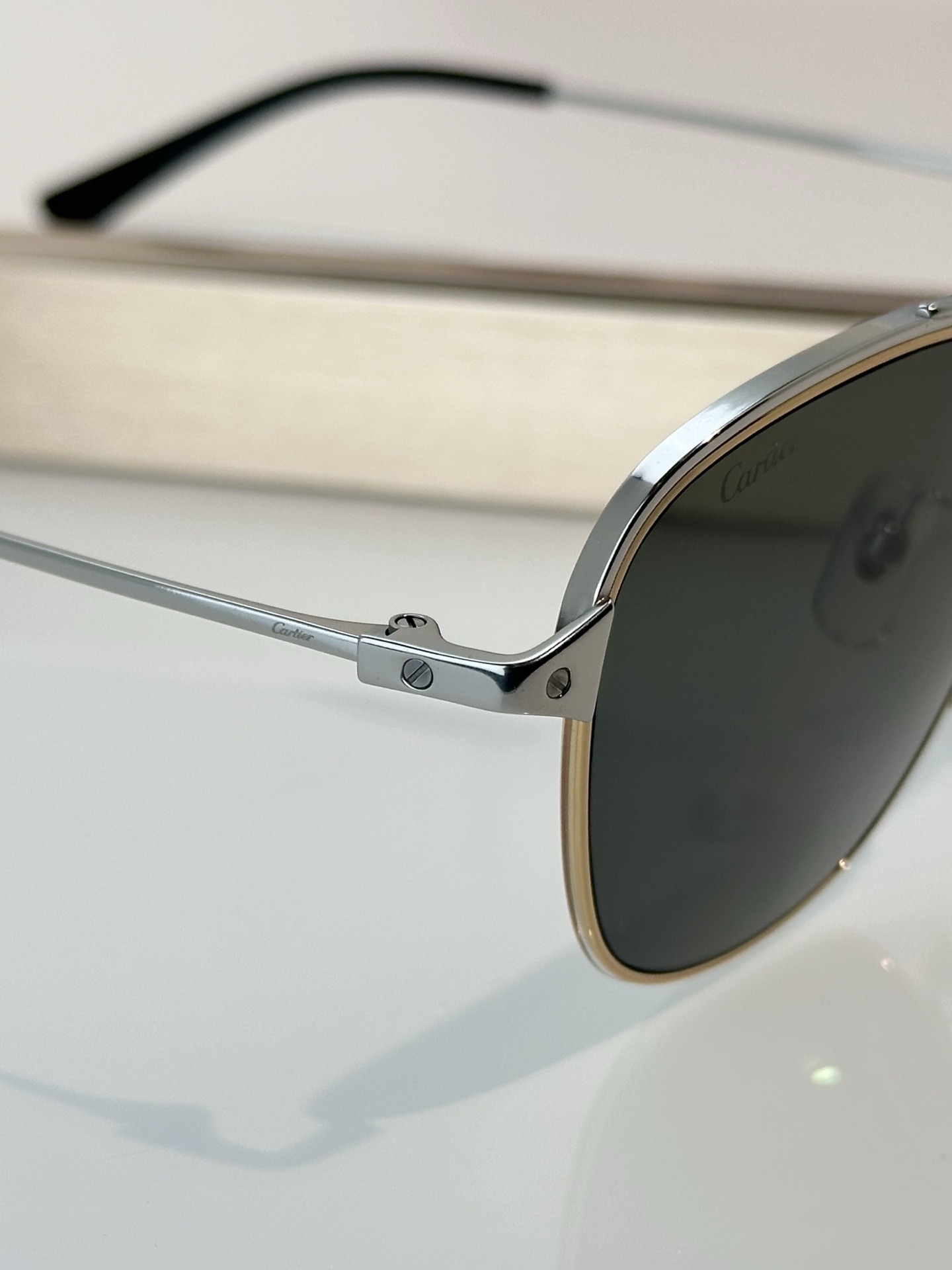 Designer Sunglasses CT0326S