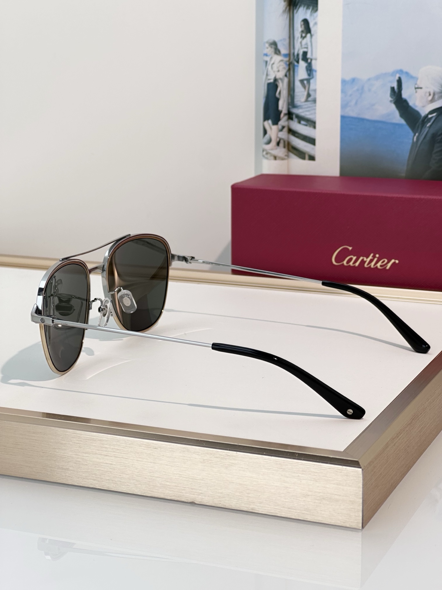 Designer Sunglasses CT0326S