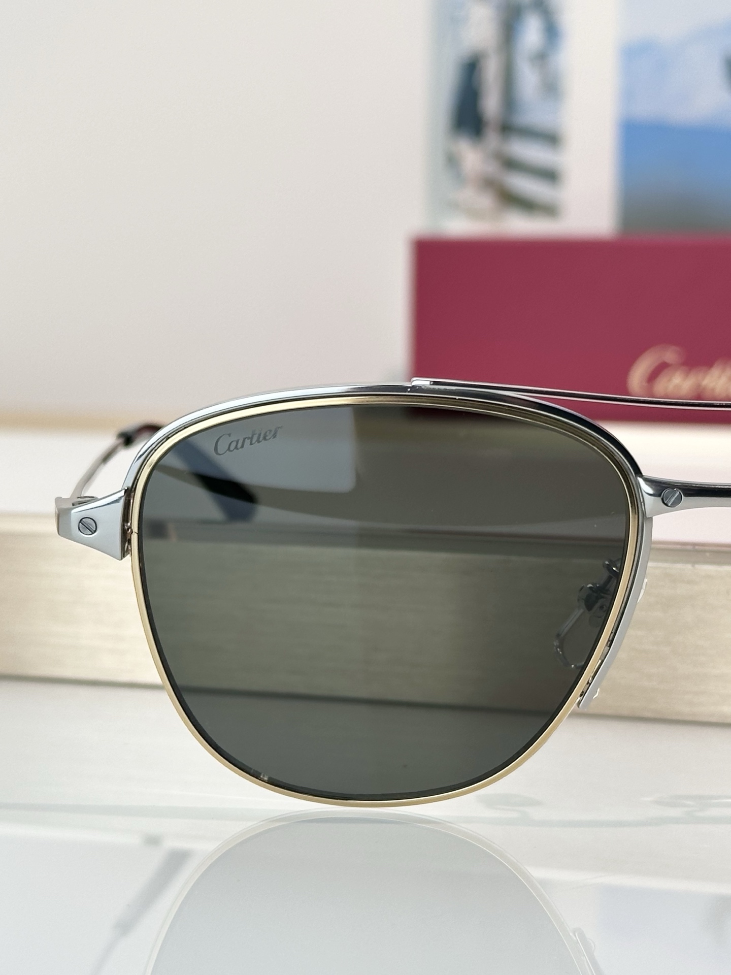 Designer Sunglasses CT0326S
