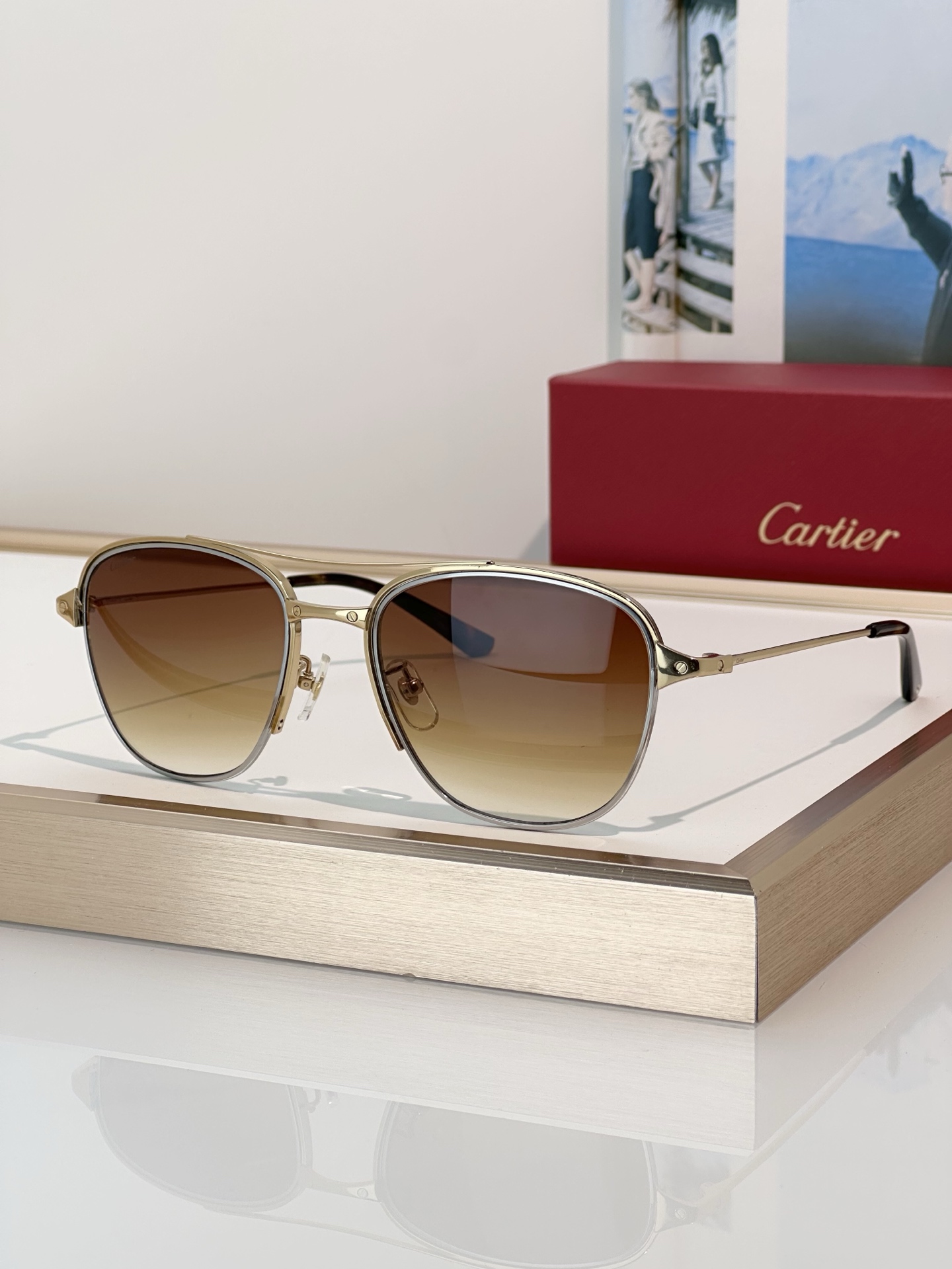 Designer Sunglasses CT0326S