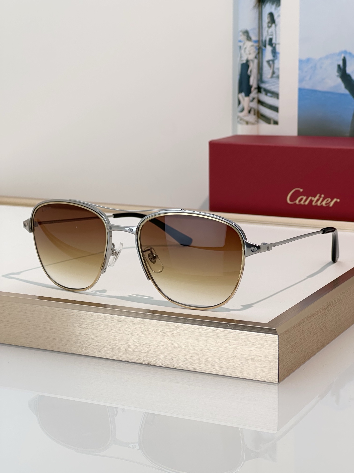 Designer Sunglasses CT0326S