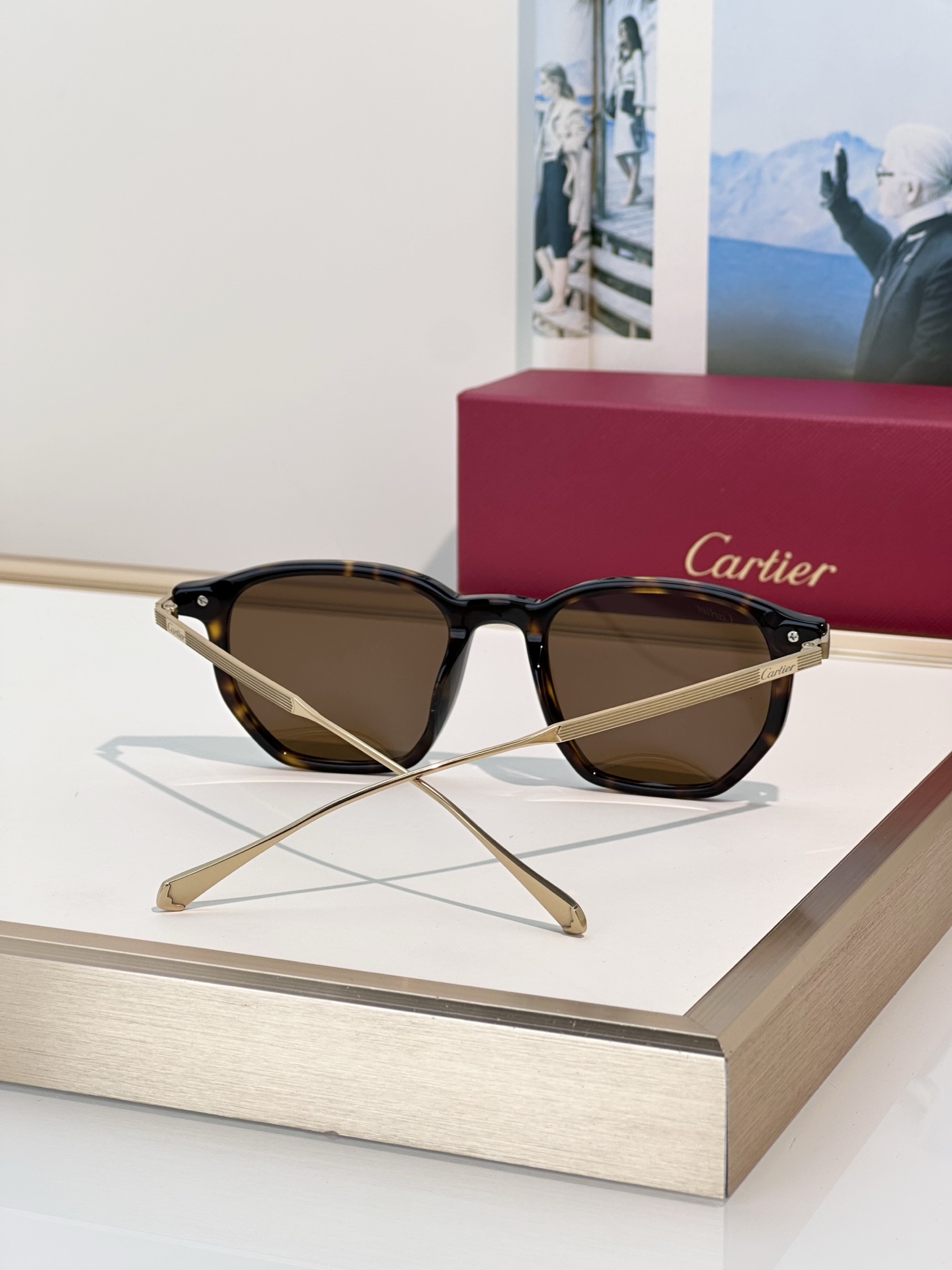 Designer Sunglasses CT0628OA