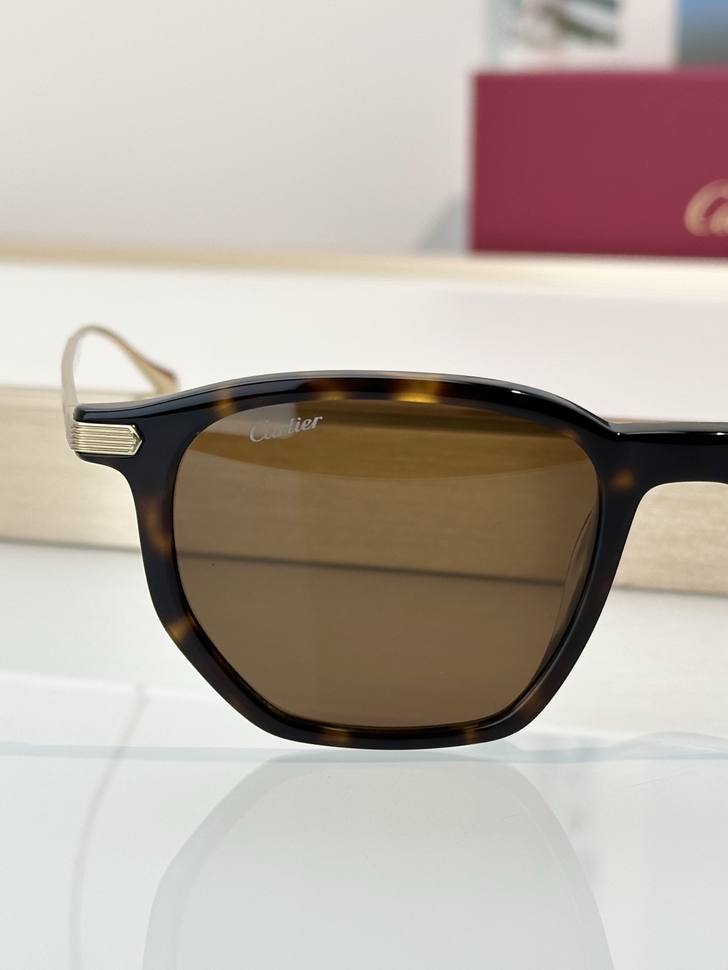 Designer Sunglasses CT0628OA