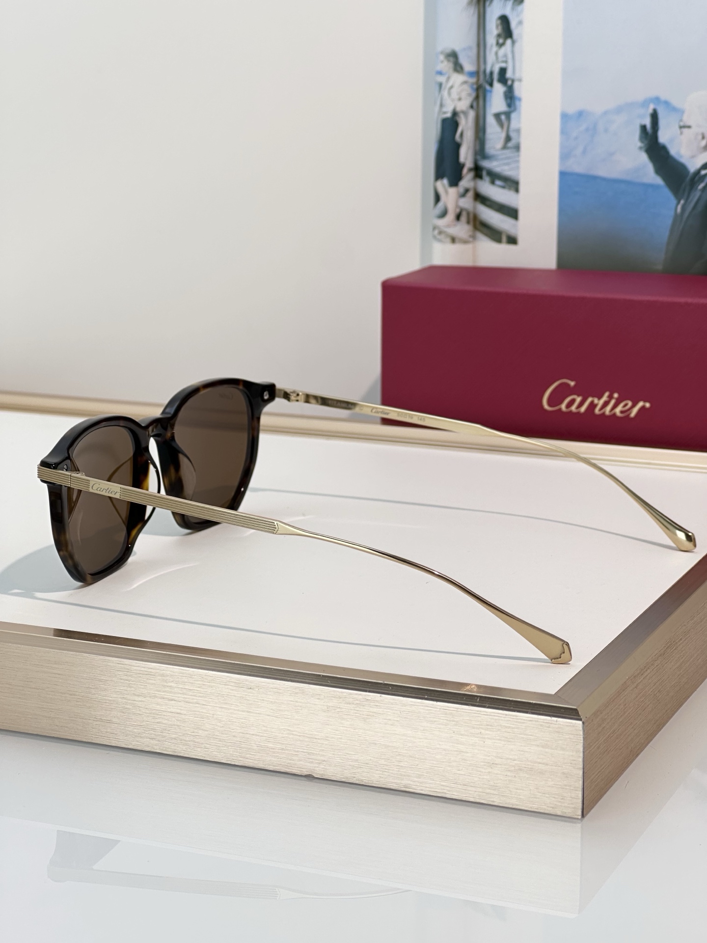 Designer Sunglasses CT0628OA