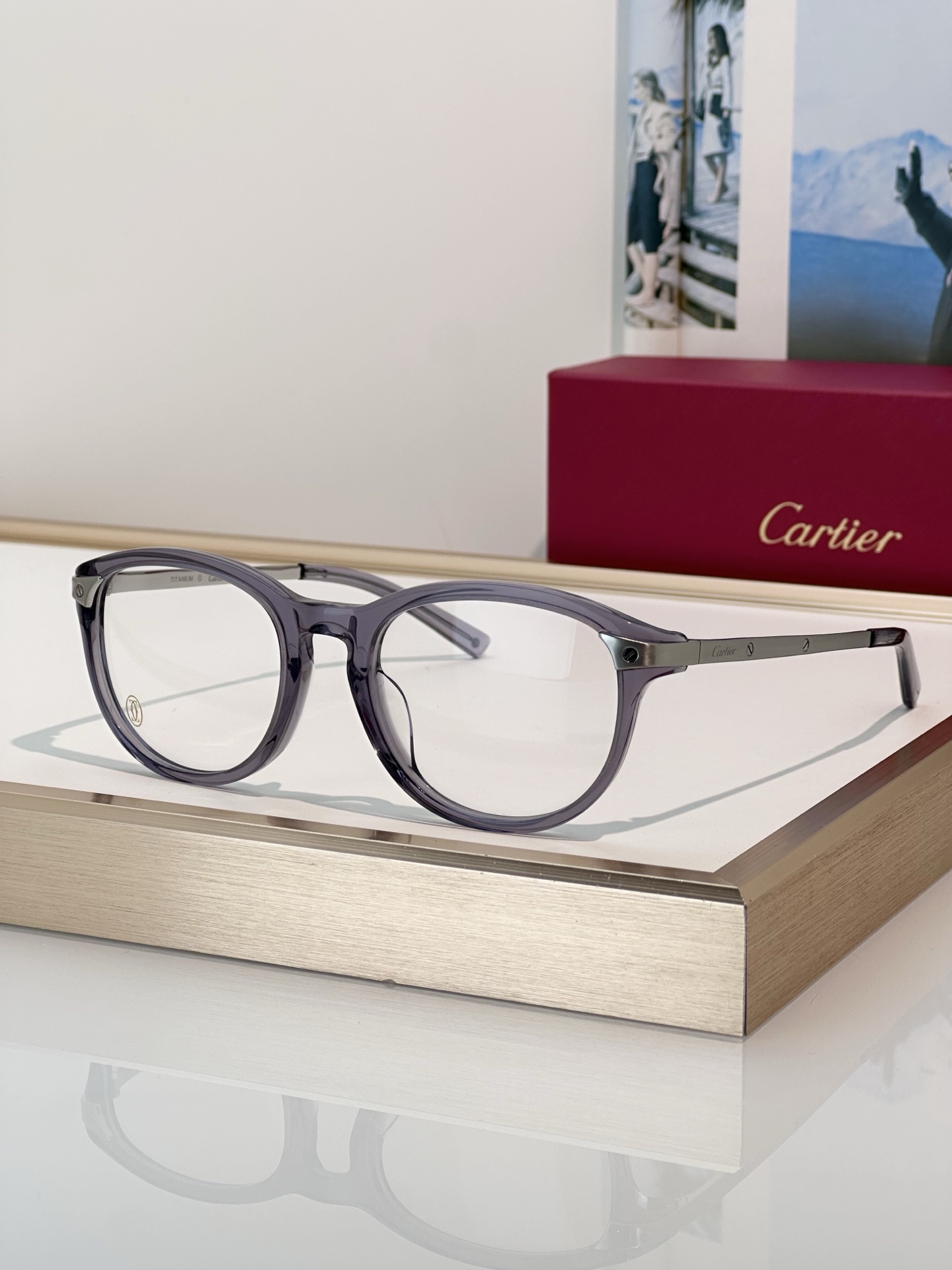 Designer Sunglasses CT0082OA