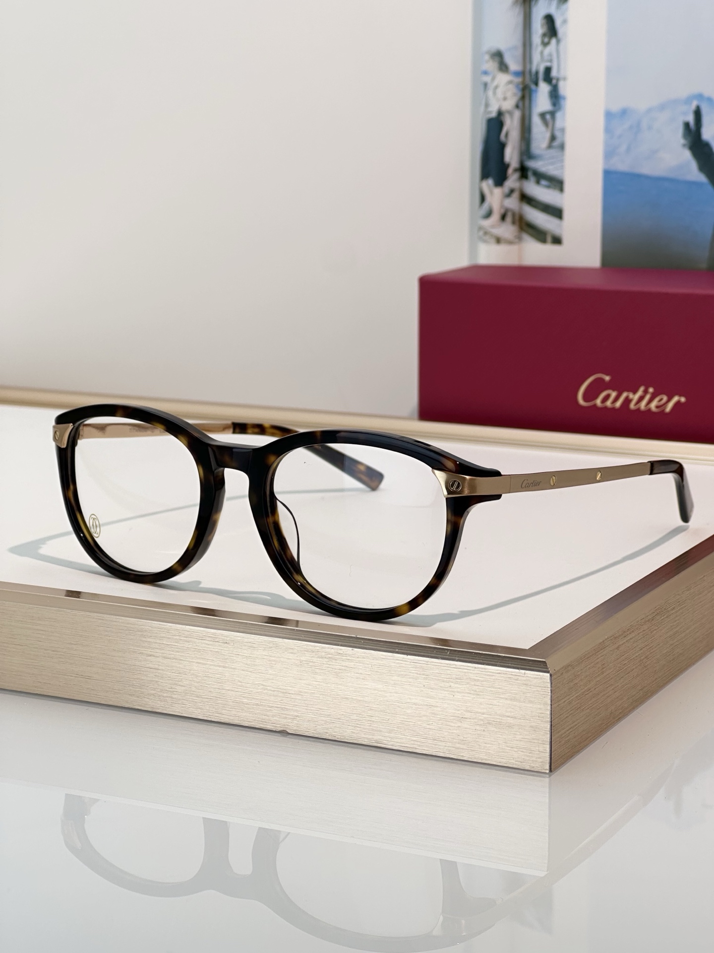 Designer Sunglasses CT0082OA